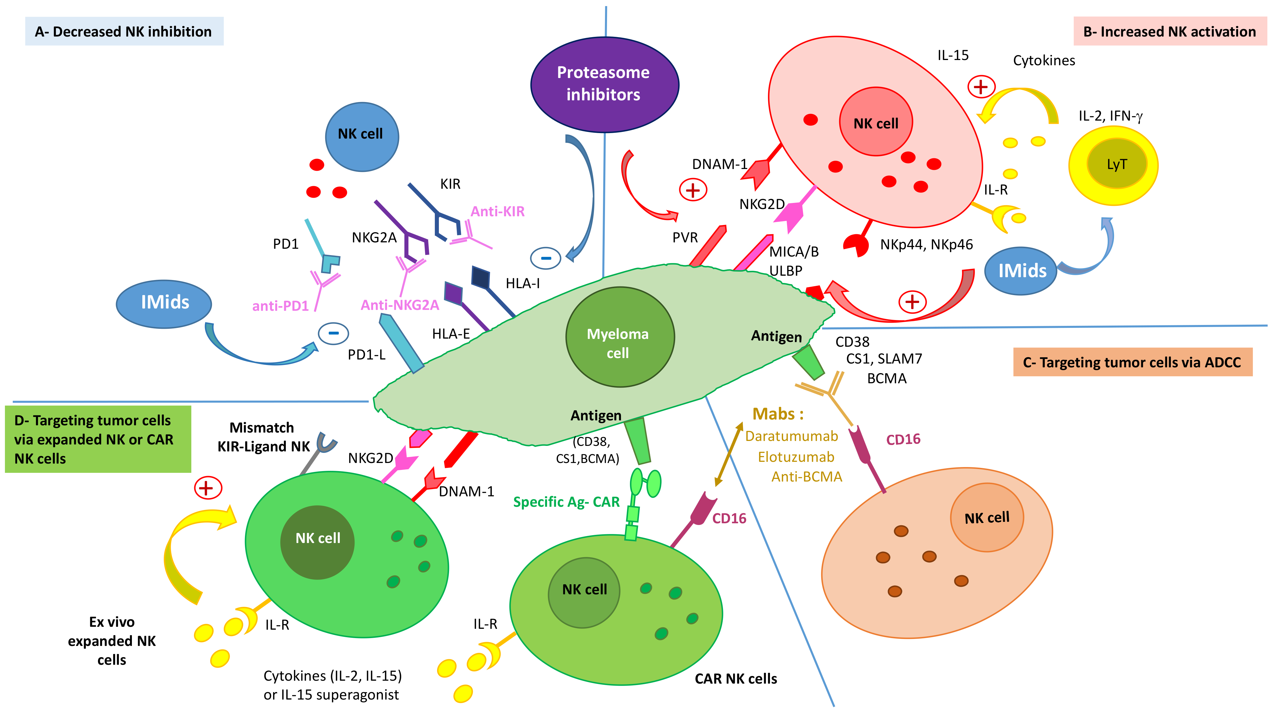 Hemato 02 00010 g002