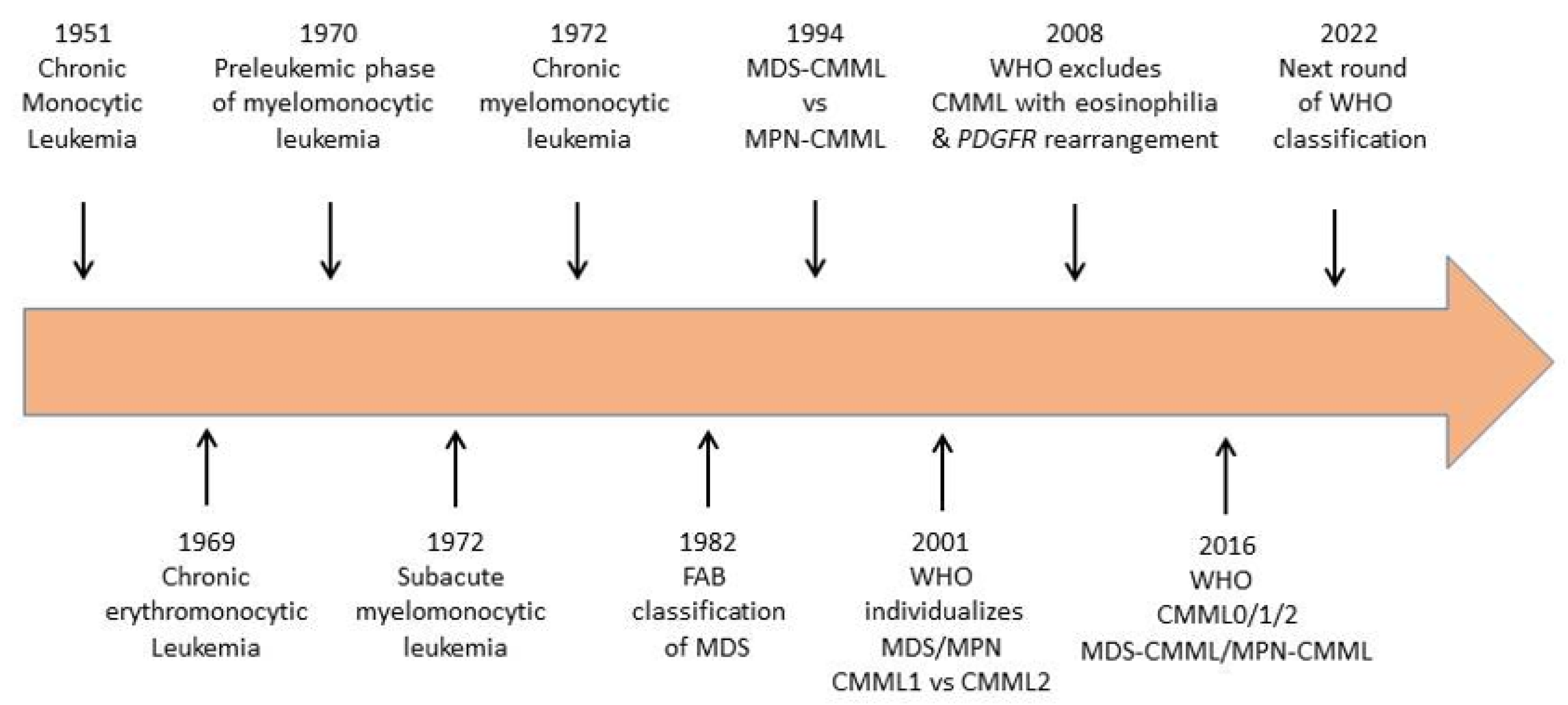 Hemato 02 00026 g001