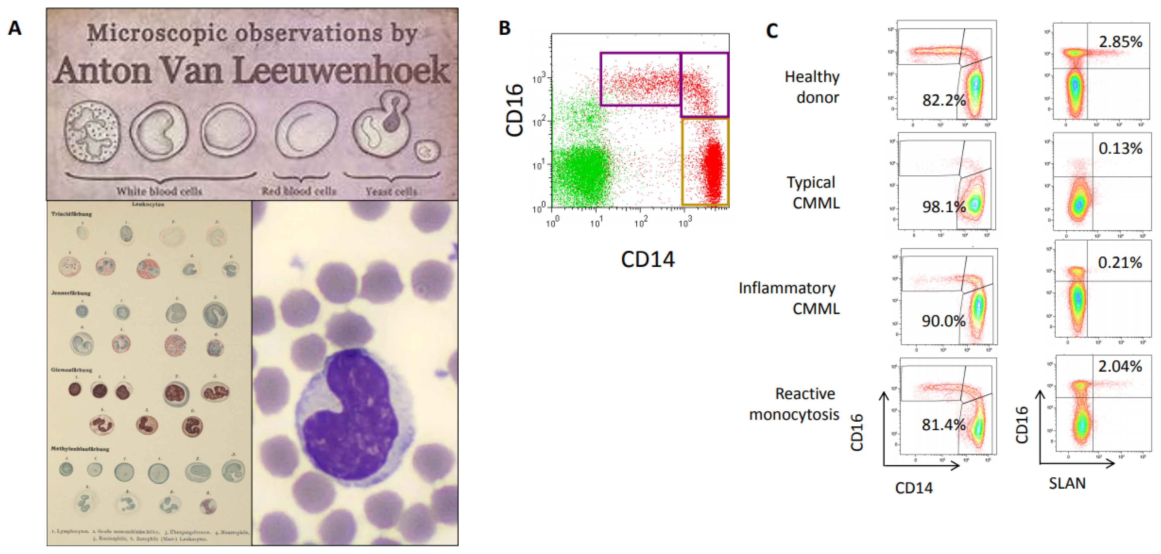 Hemato 02 00026 g002