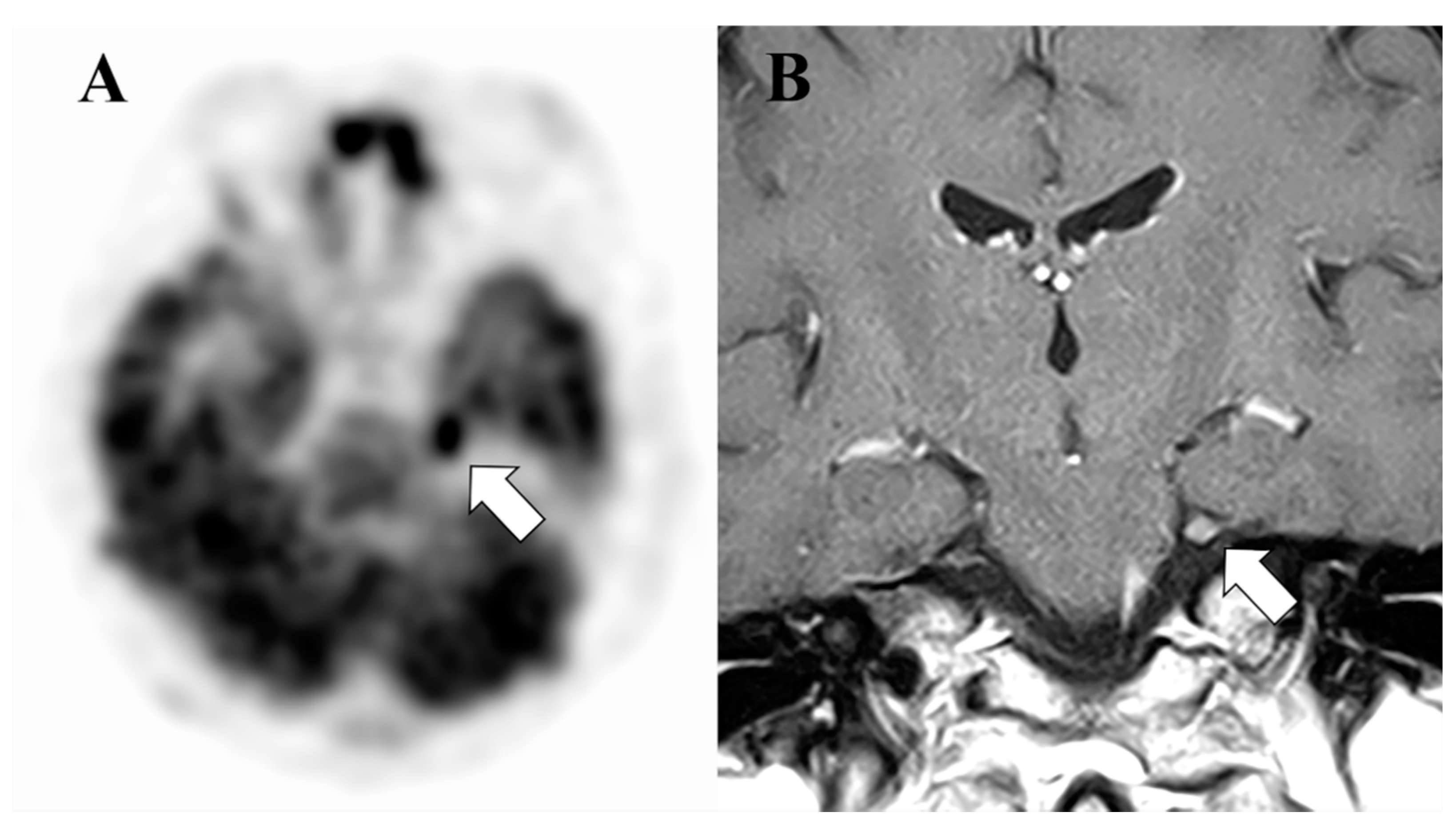 Hemato 02 00038 g001