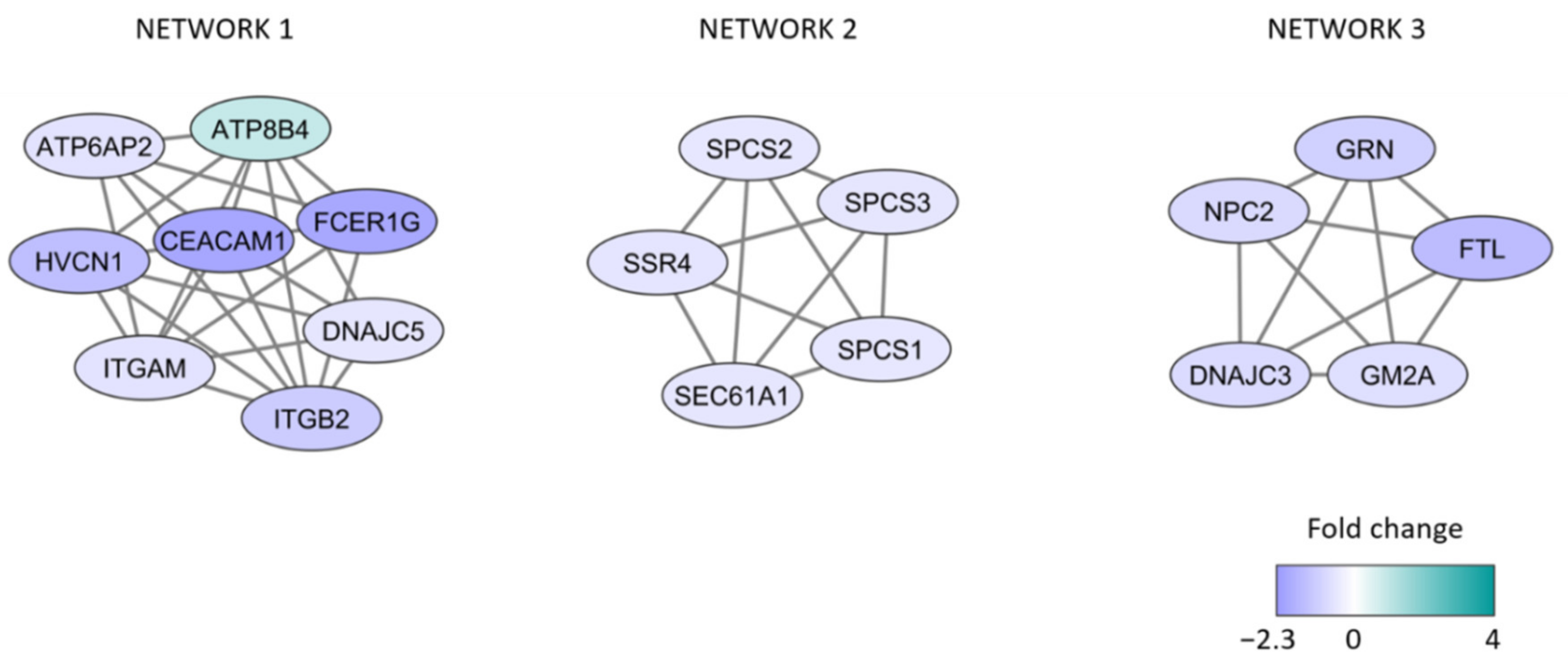 Hemato 02 00039 g002