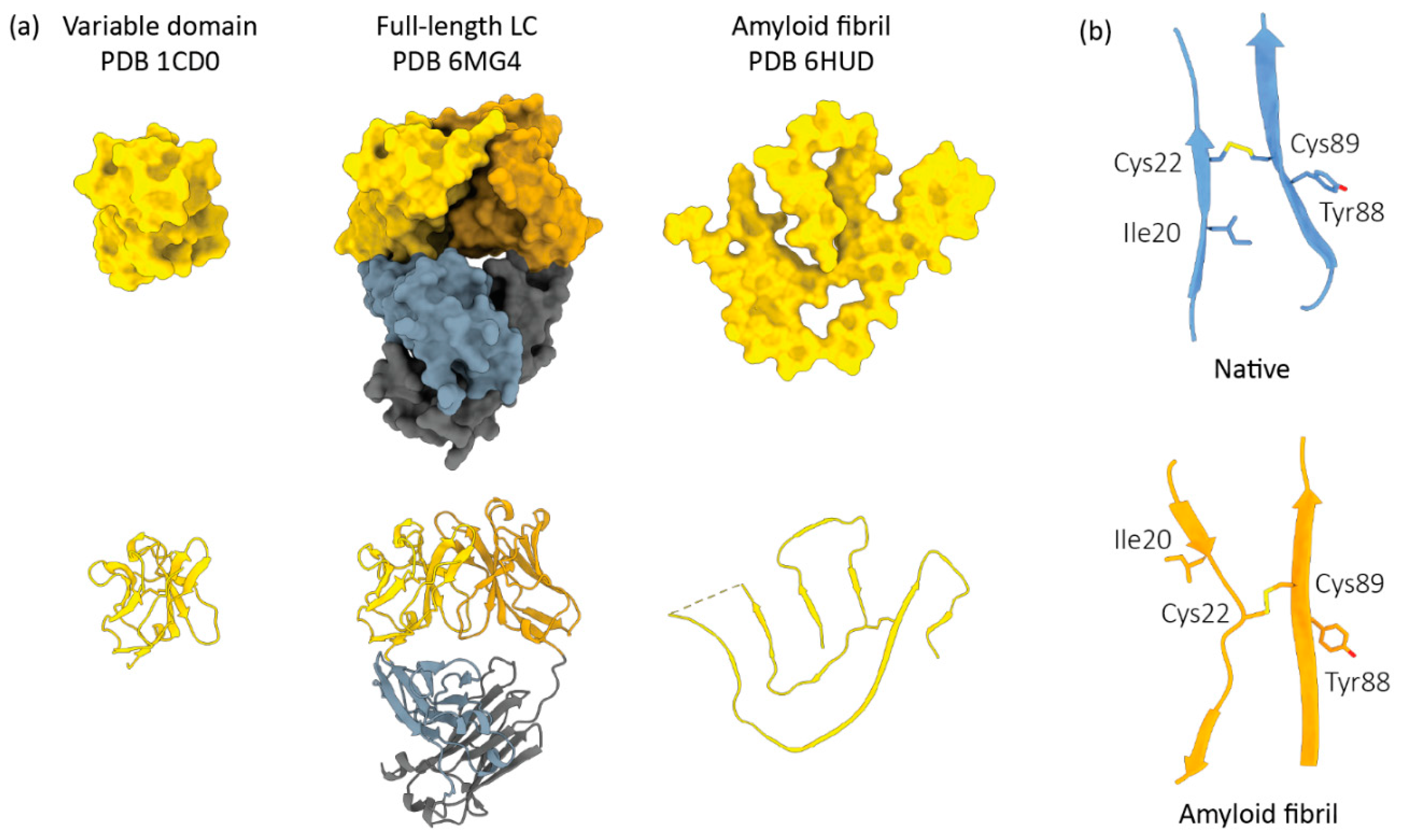 Hemato 02 00042 g002