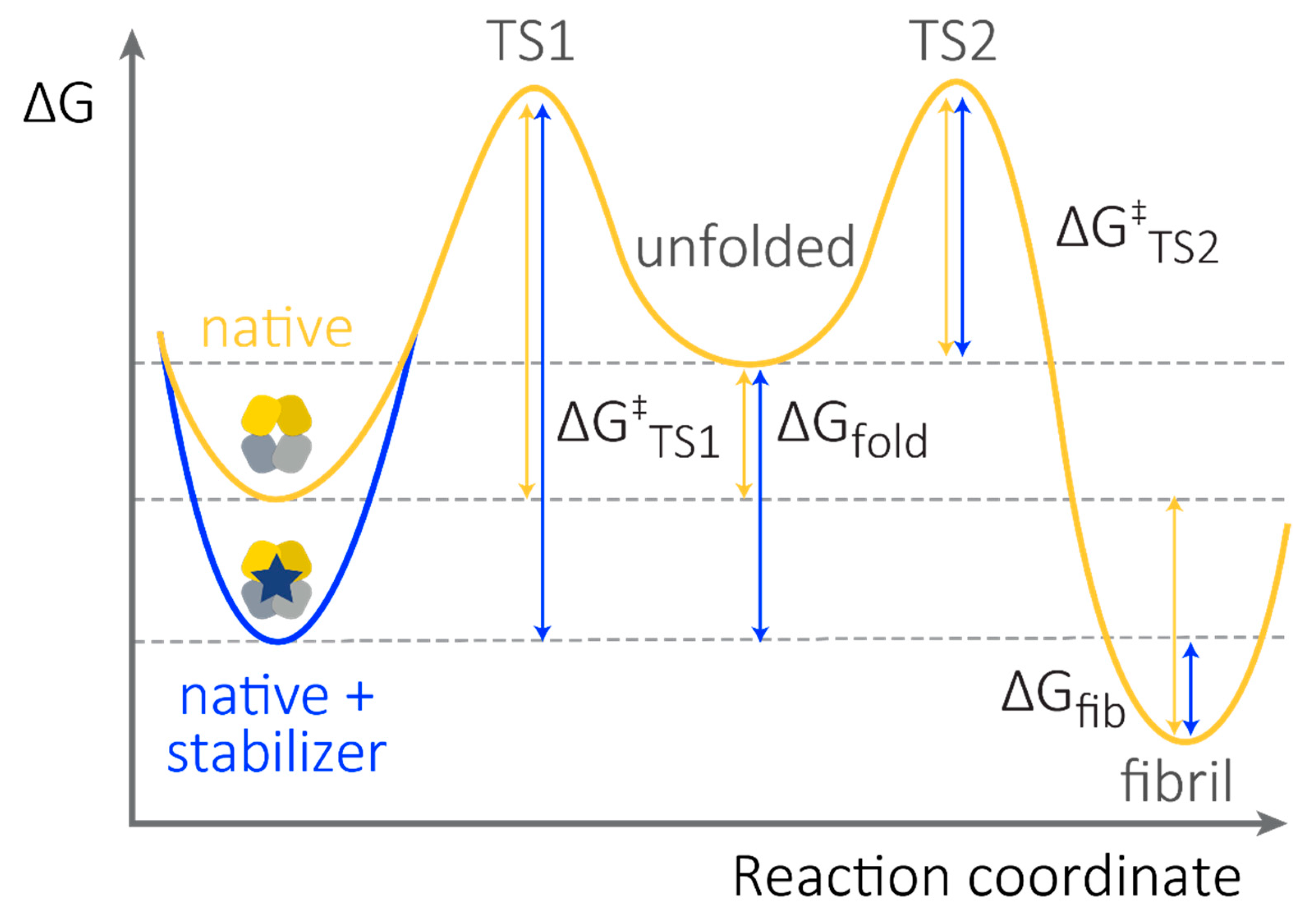 Hemato 02 00042 g003