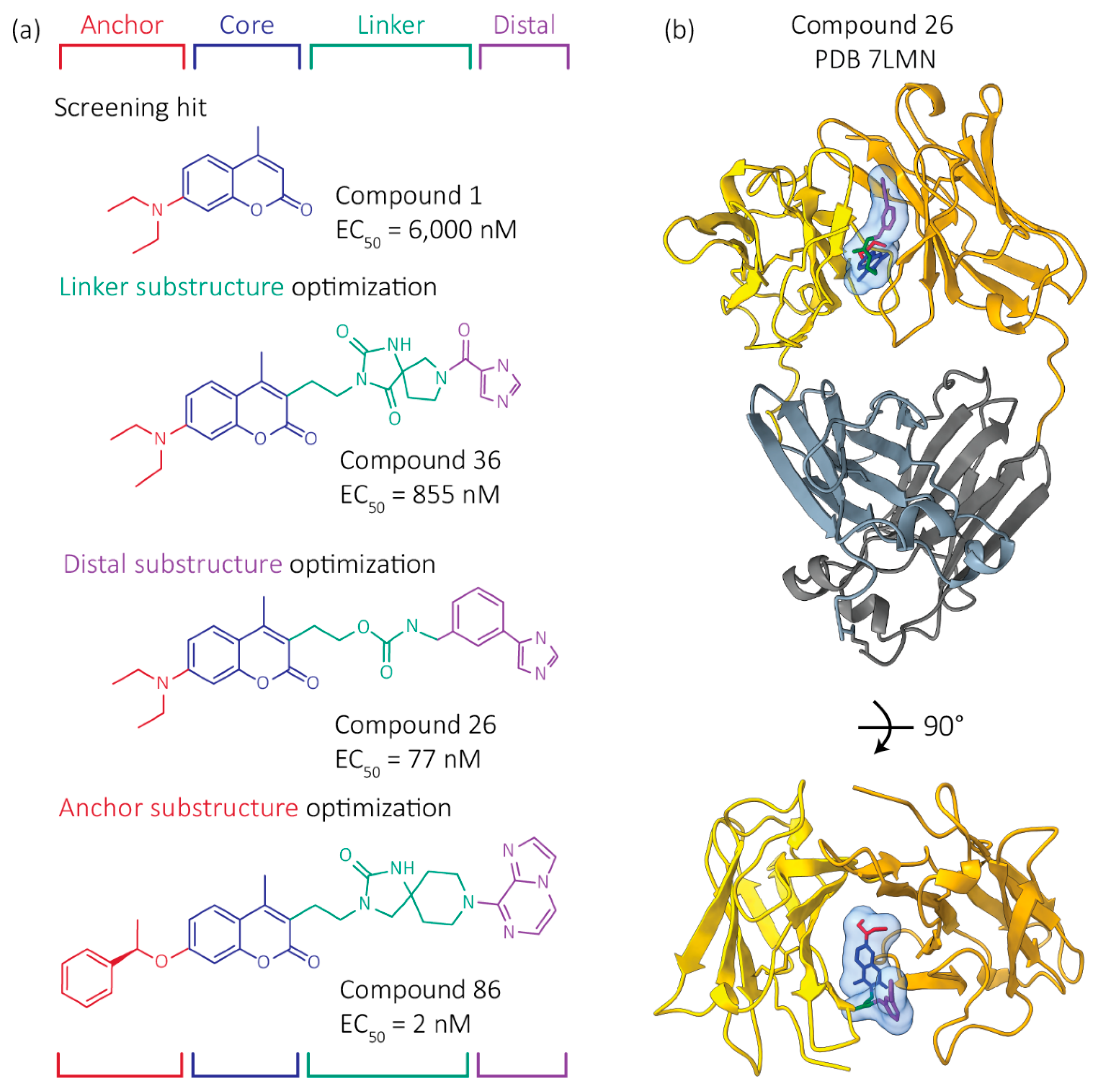 Hemato 02 00042 g004