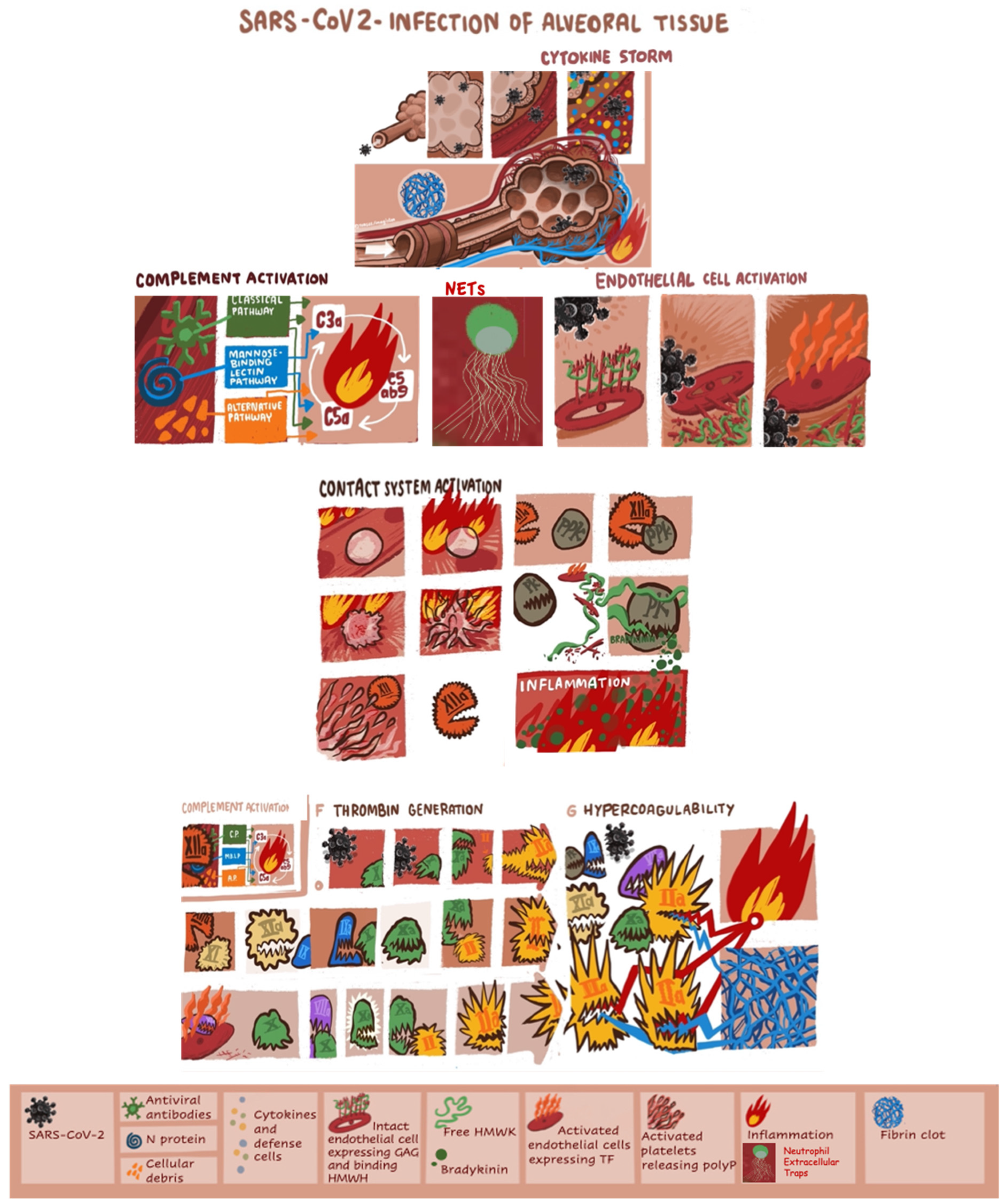 Hemato 03 00017 g001