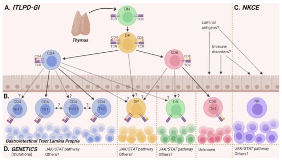 Hemato 03 00018 g002