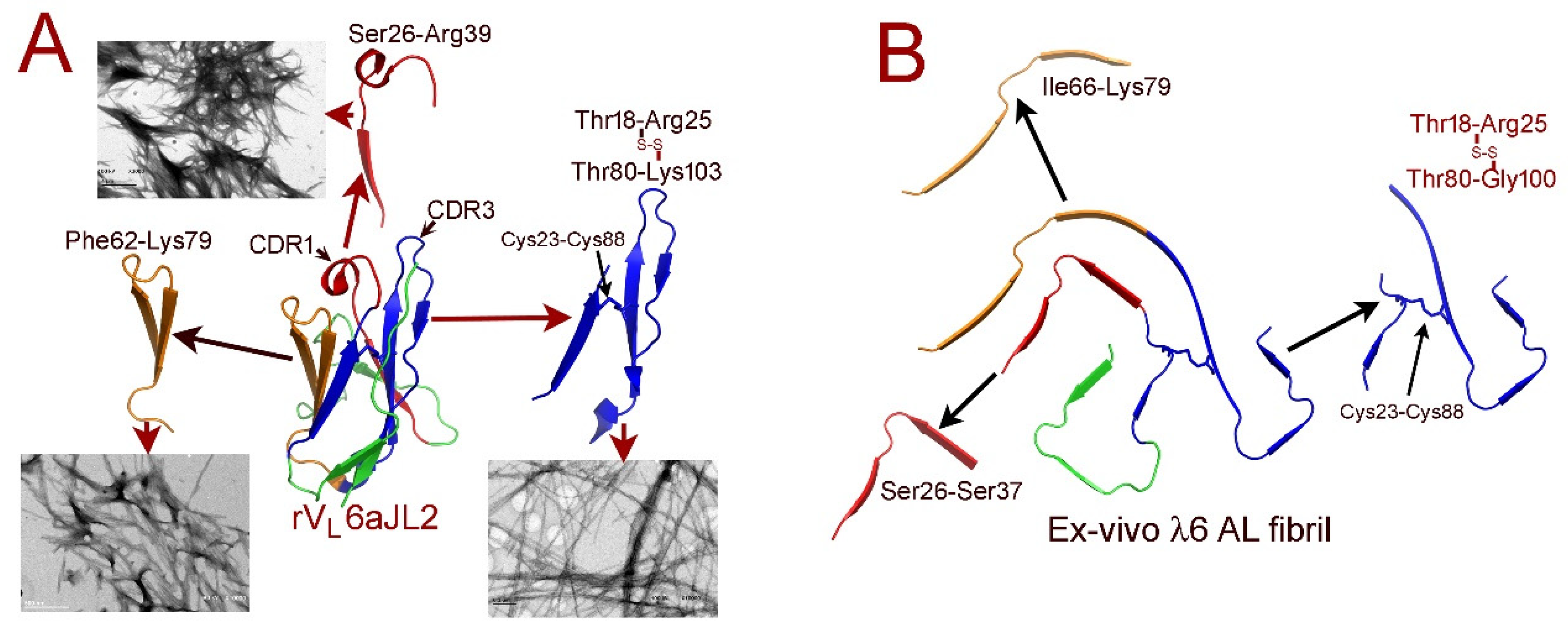 Hemato 03 00019 g002