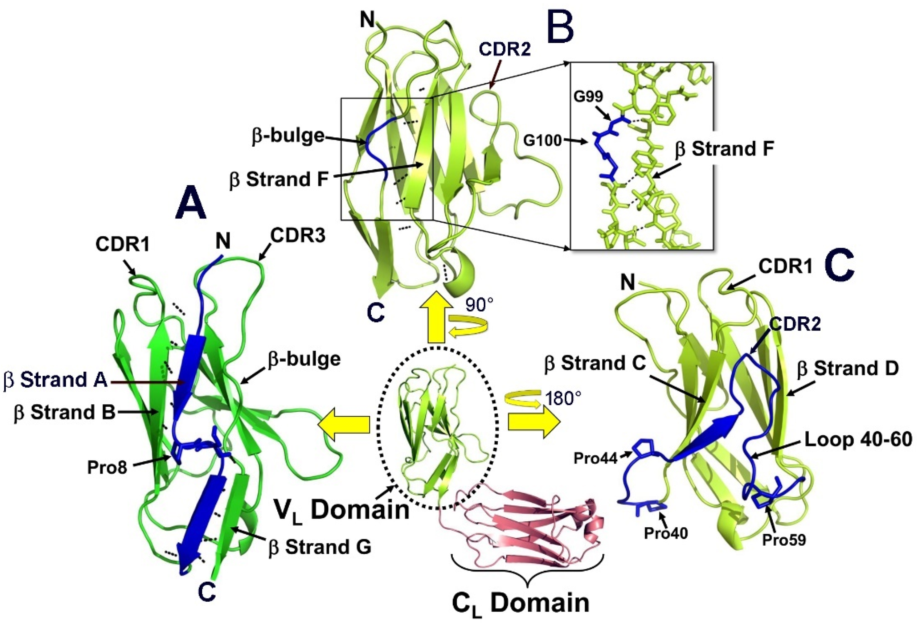Hemato 03 00019 g003