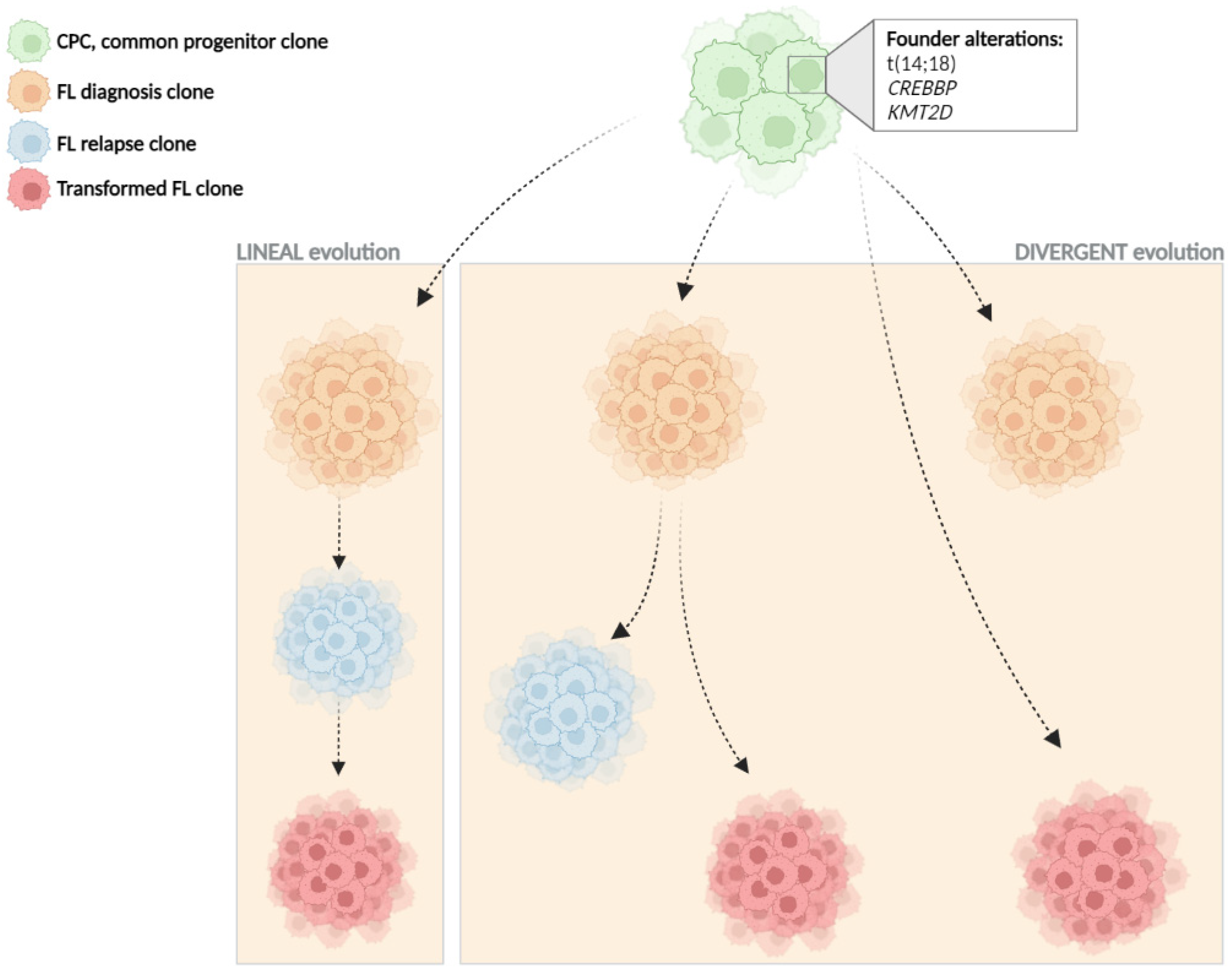 Hemato 03 00042 g001 Hemato 03 00042 g001