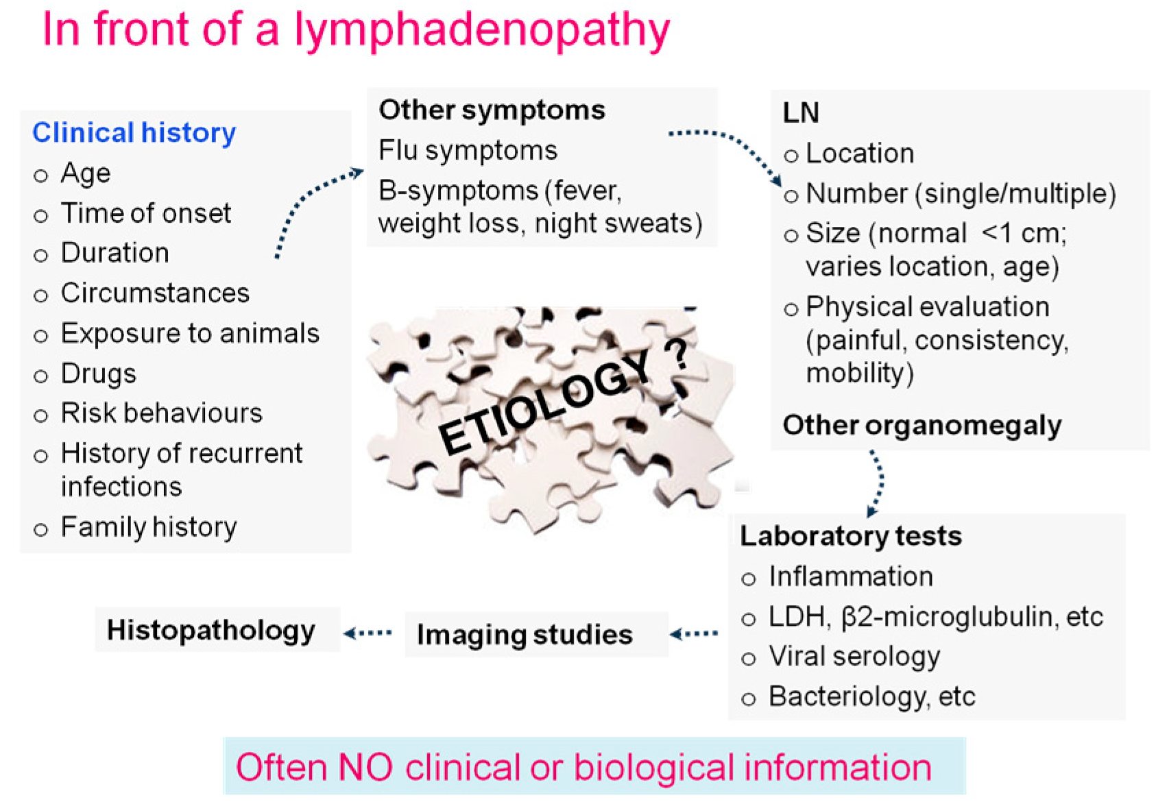 Hemato 05 00026 g001