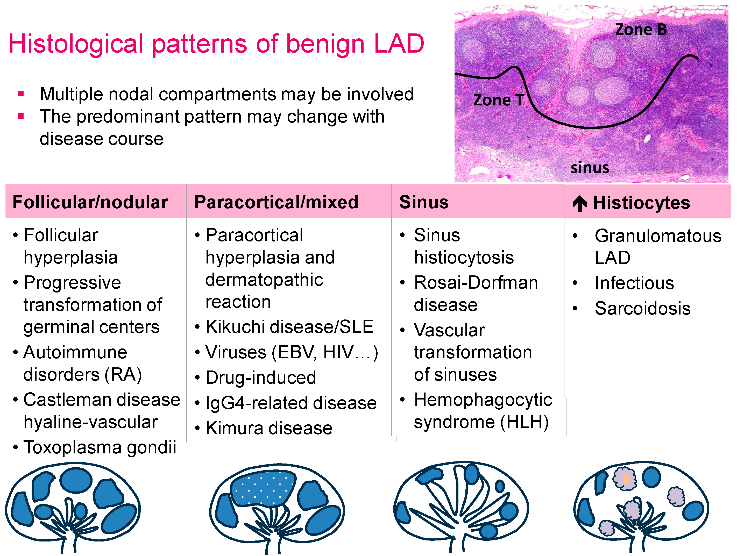 Hemato 05 00026 g002