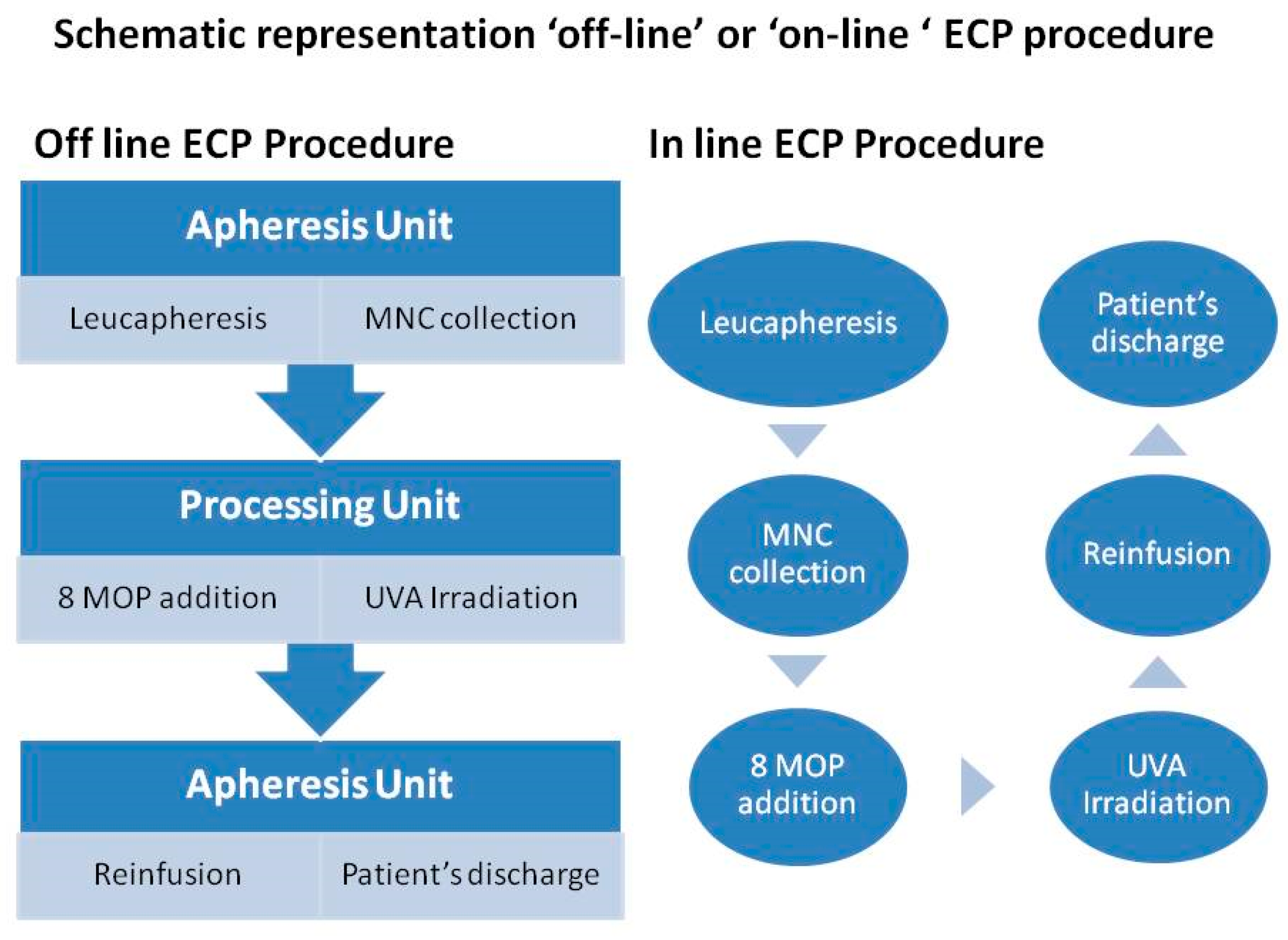 Hemato 06 00002 g001