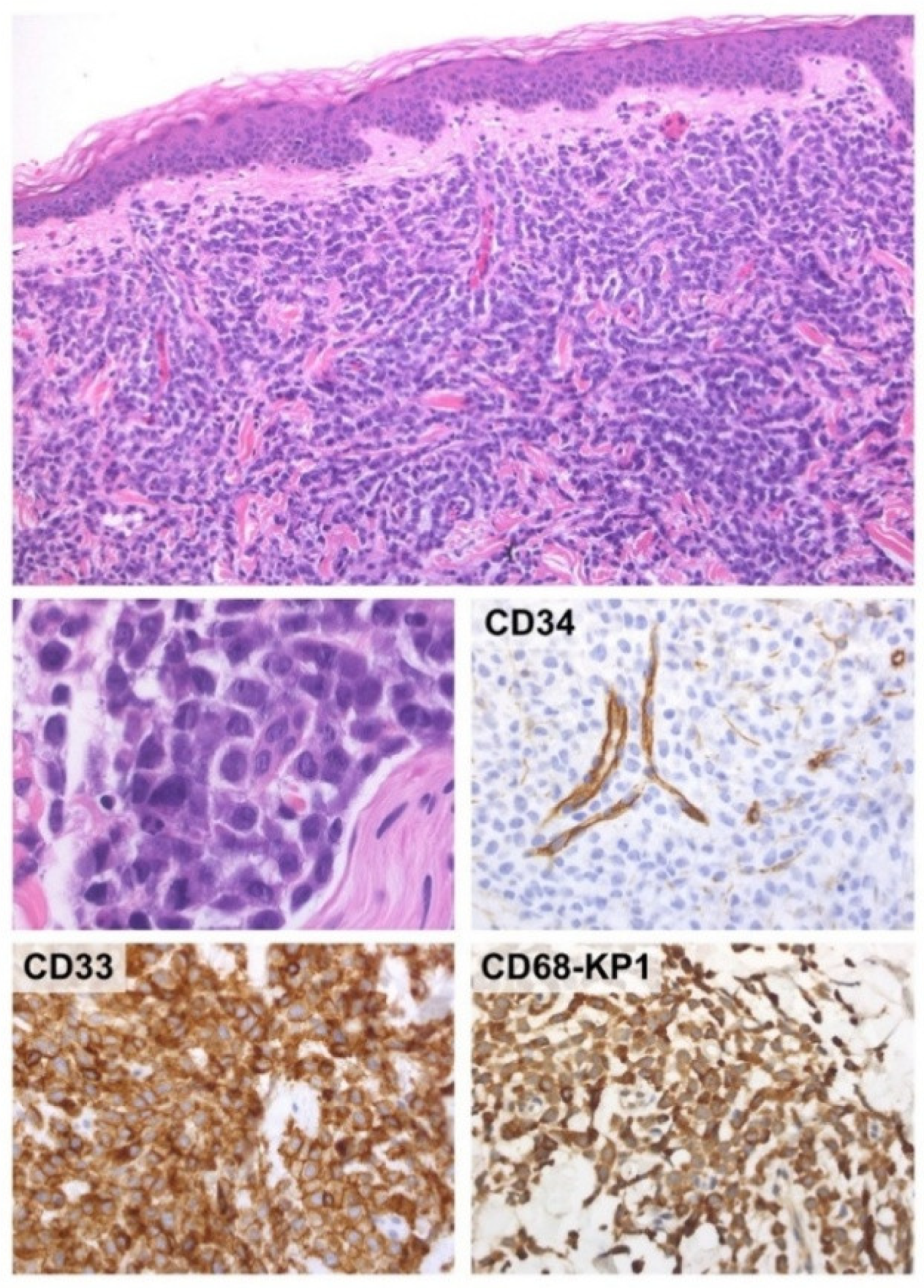 Hemato 06 00025 g001