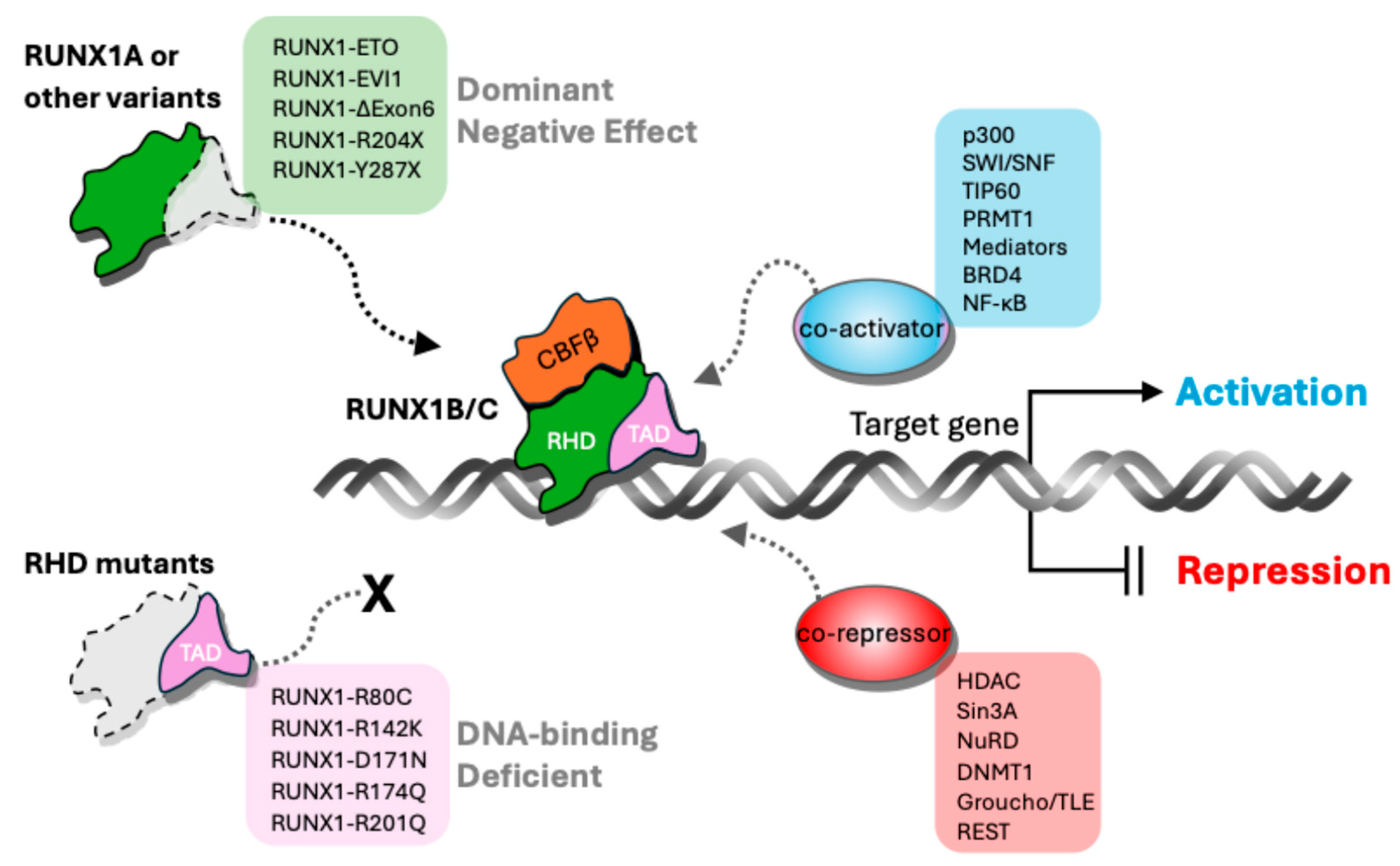 Hemato 06 00033 g002