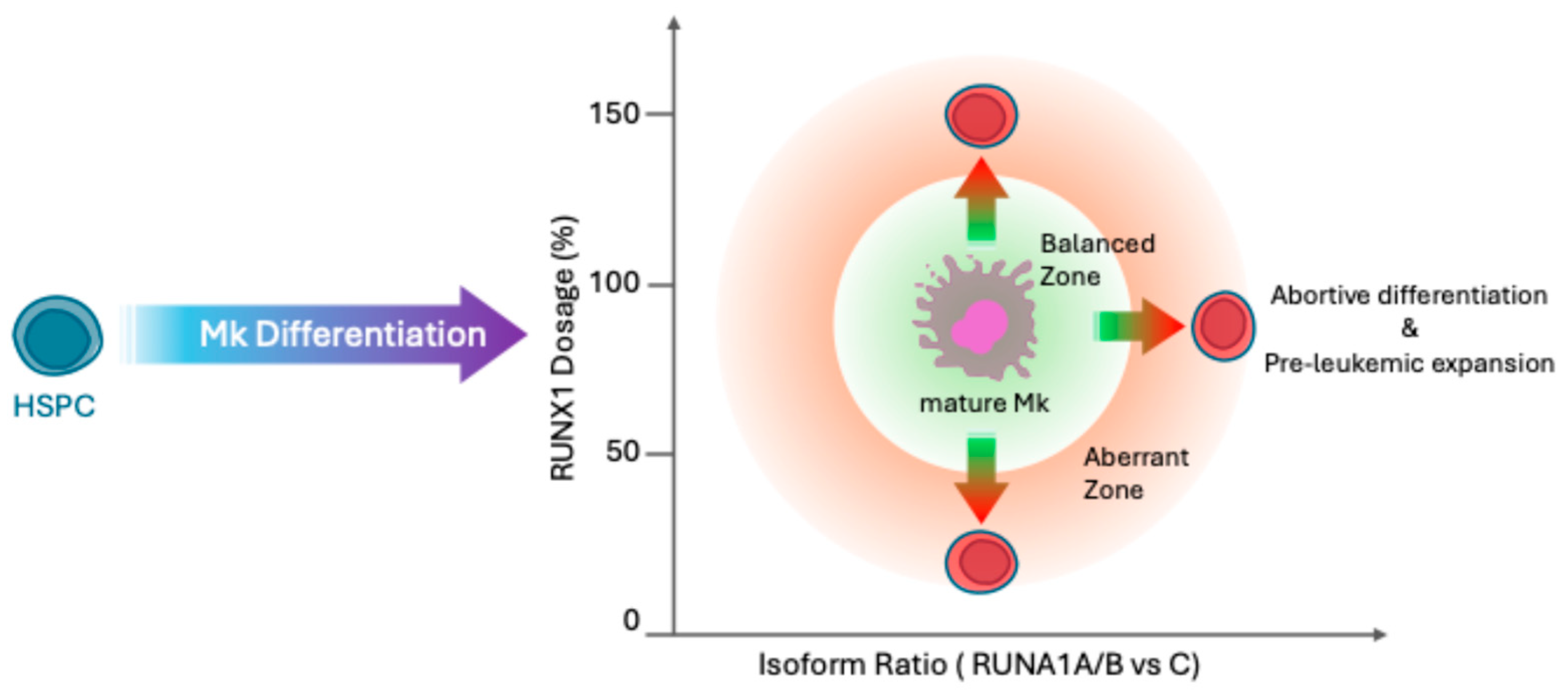 Hemato 06 00033 g003
