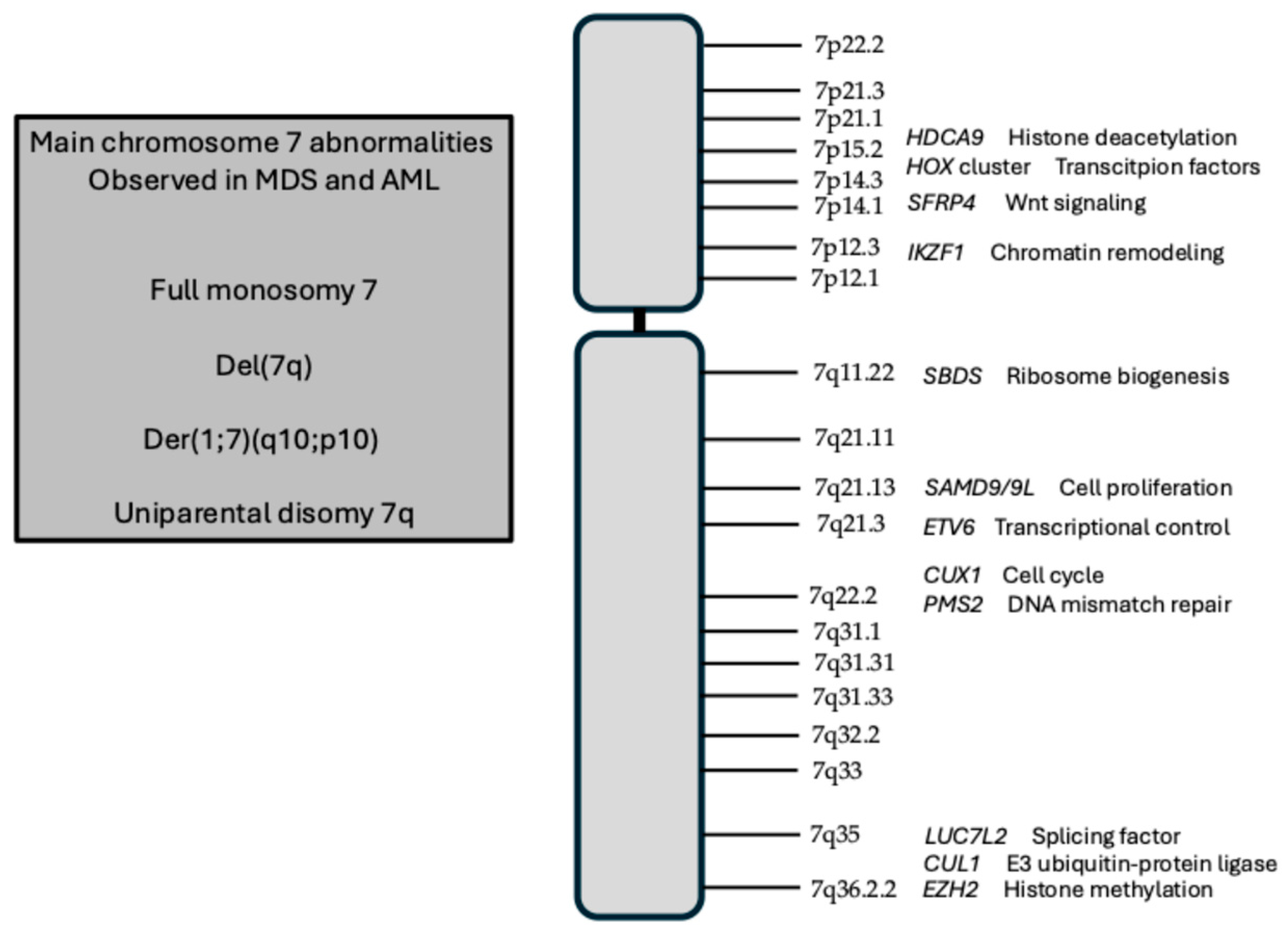 Hemato 06 00034 g001