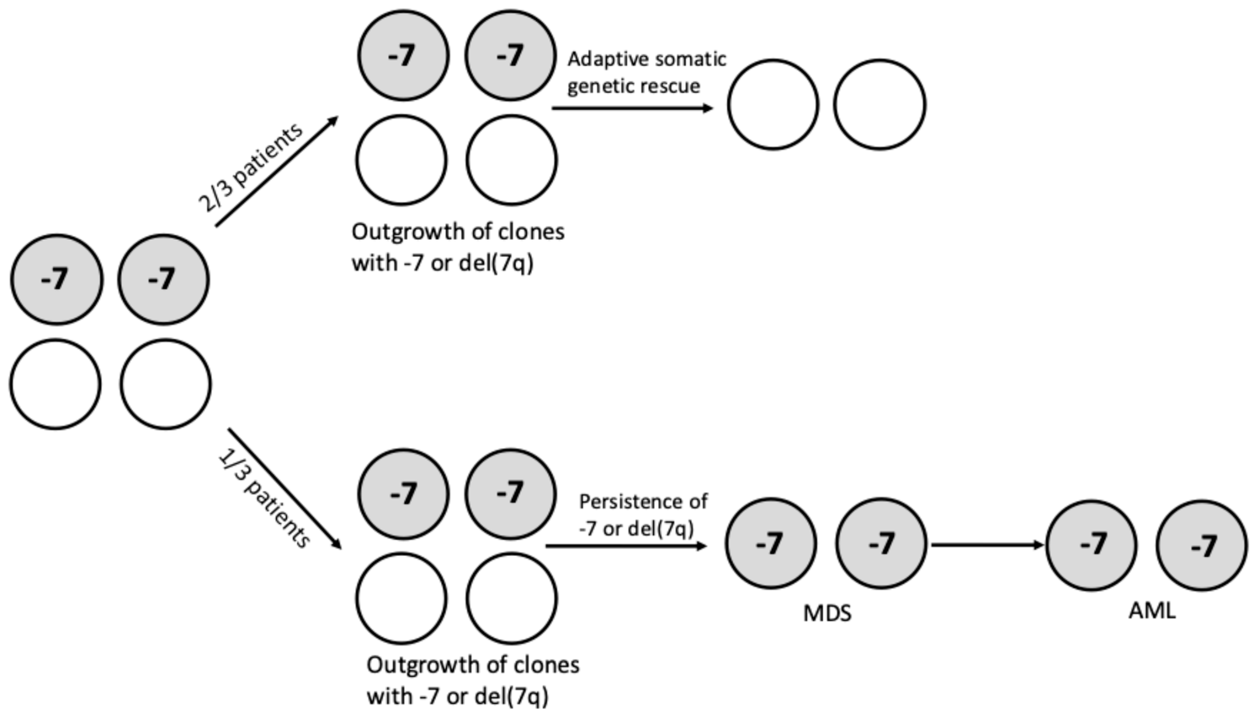 Hemato 06 00034 g002