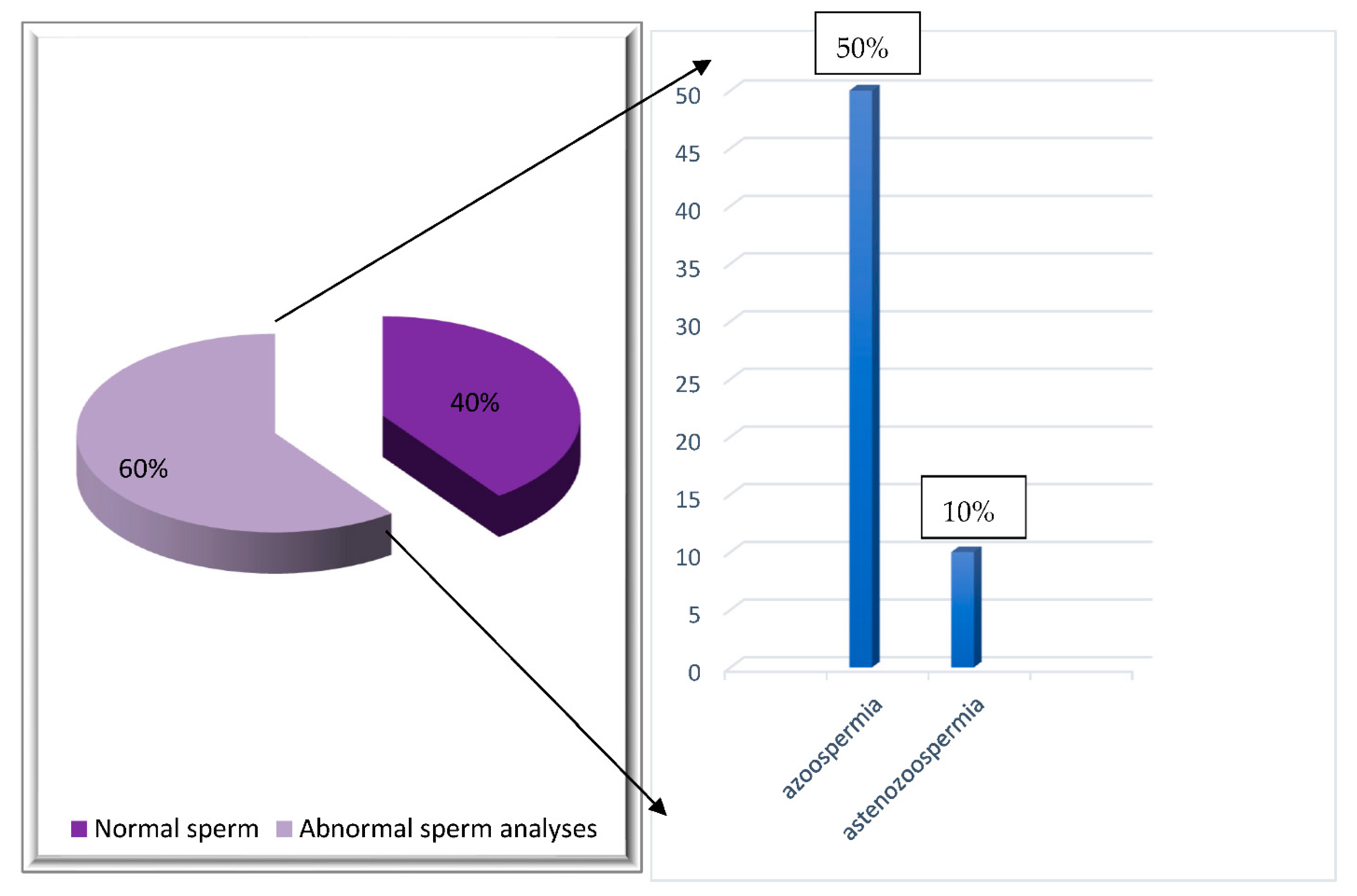 Hematolrep 14 00013 g003