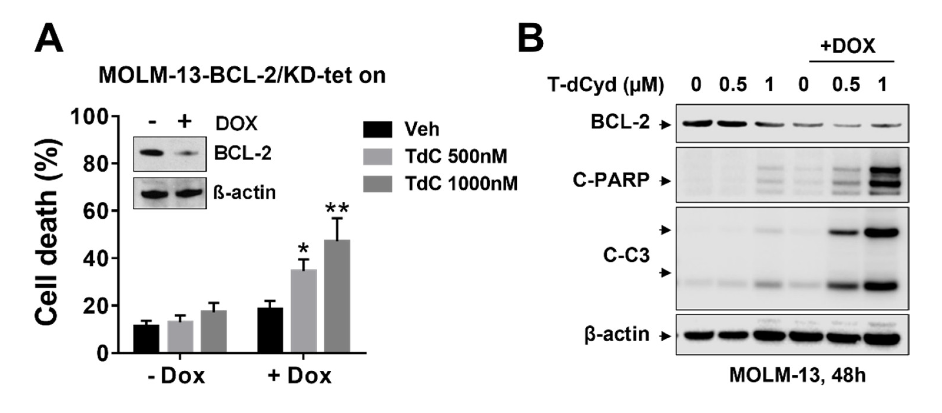 Hematolrep 15 00010 g002