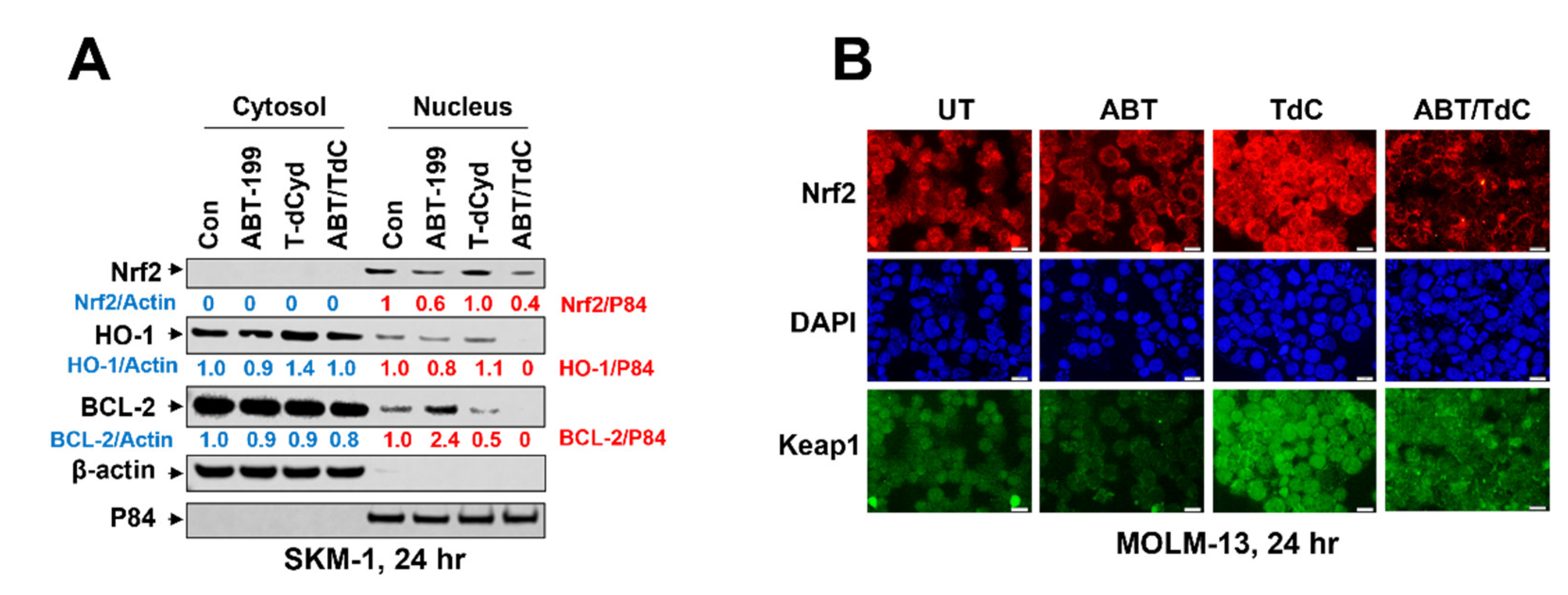 Hematolrep 15 00010 g005