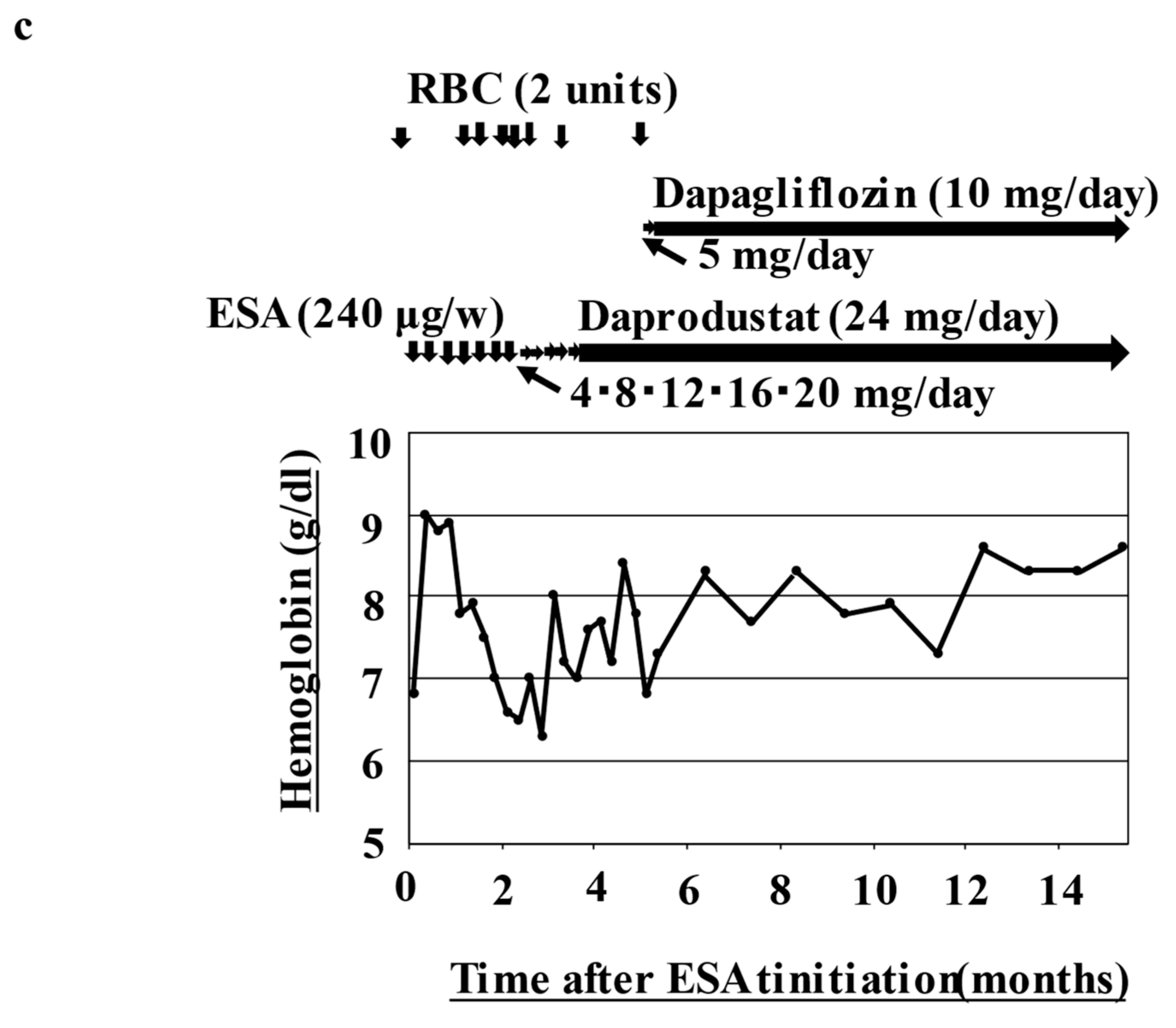 Hematolrep 15 00019 g001b Hematolrep 15 00019 g001b
