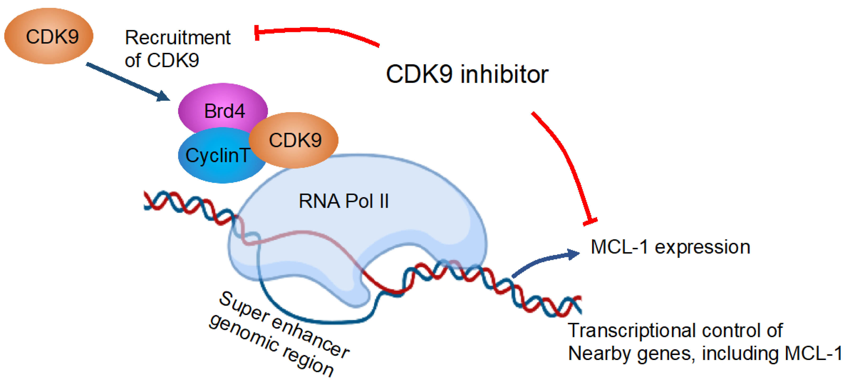 Hematolrep 15 00035 g002