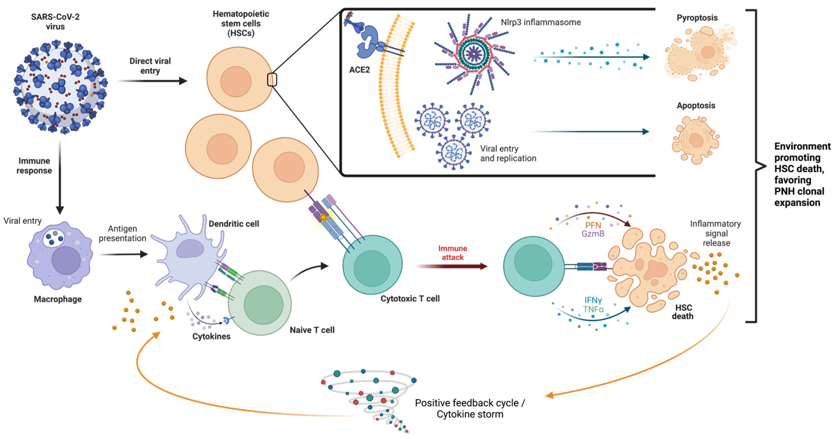 Hematolrep 16 00005 g001