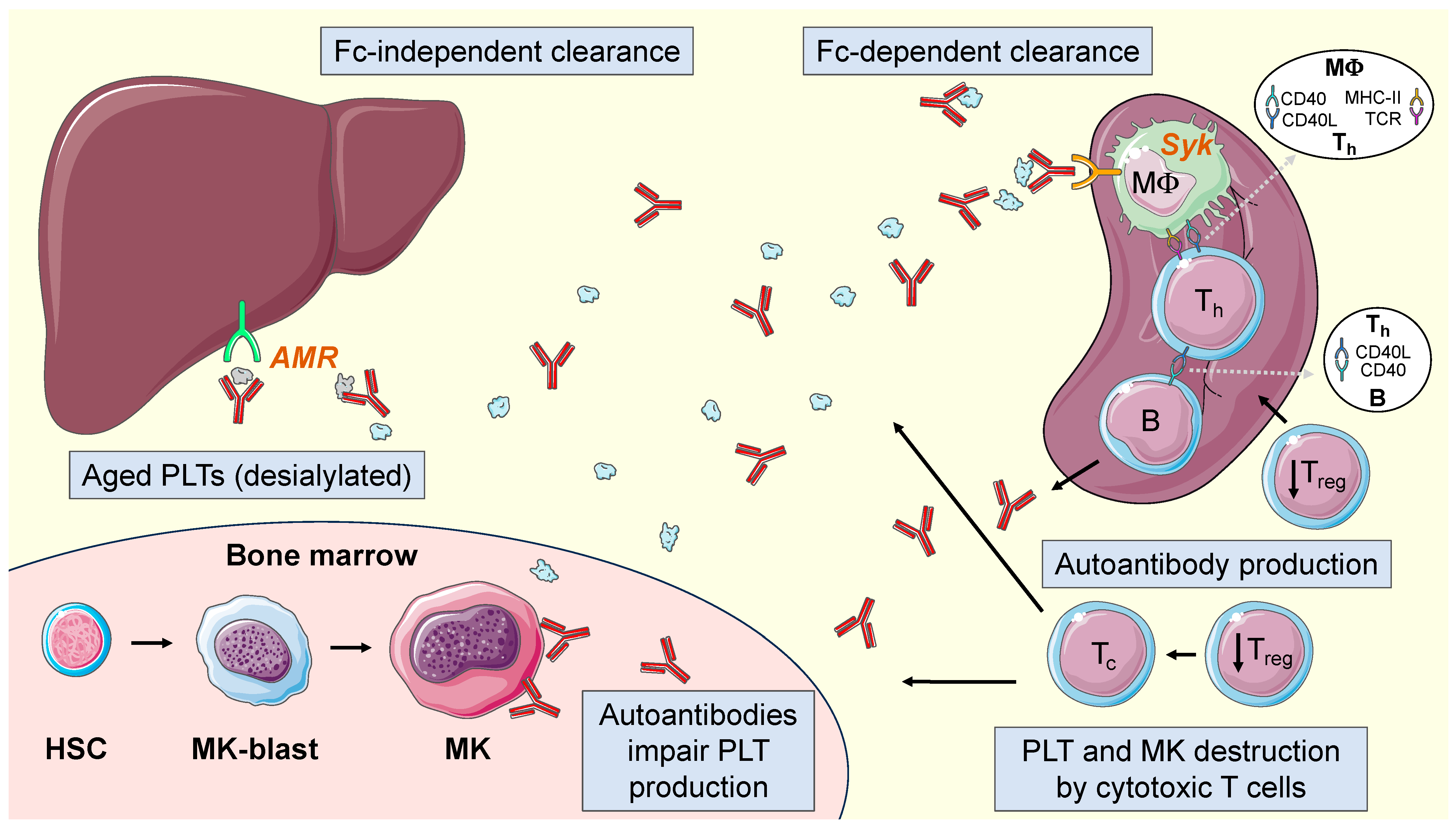 Hematolrep 16 00021 g001
