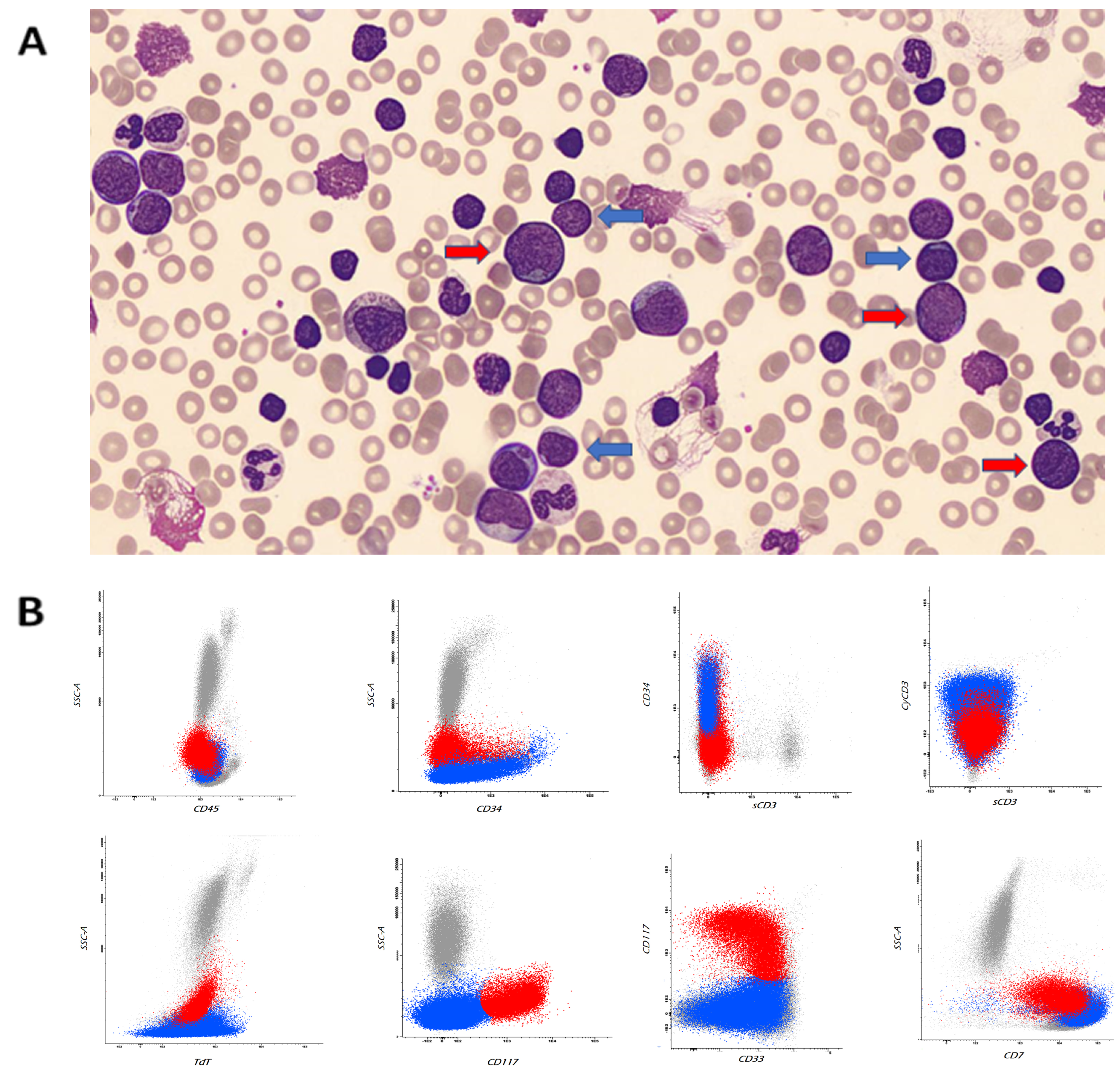 Hematolrep 16 00040 g001