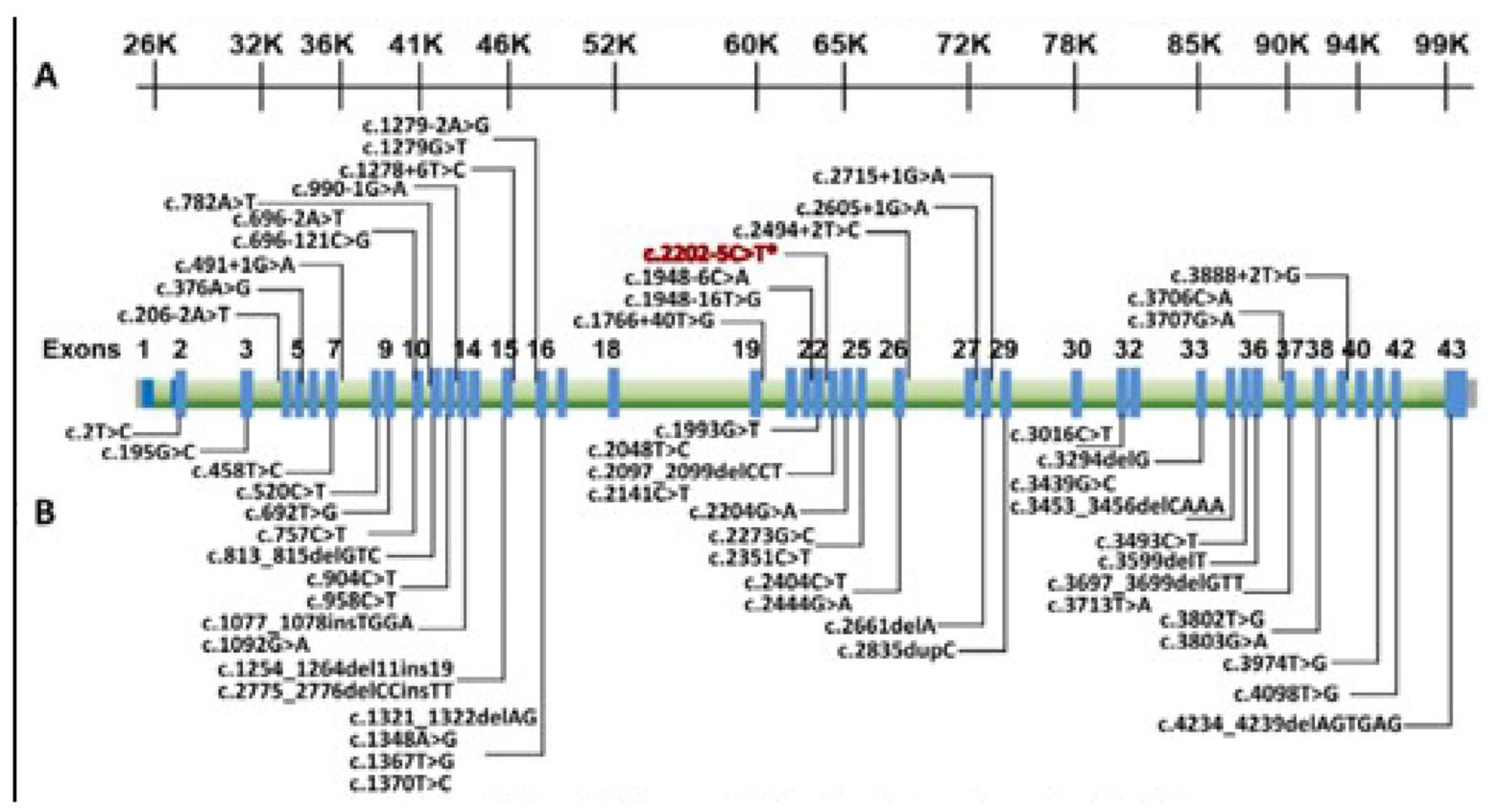 Hematolrep 16 00045 g001