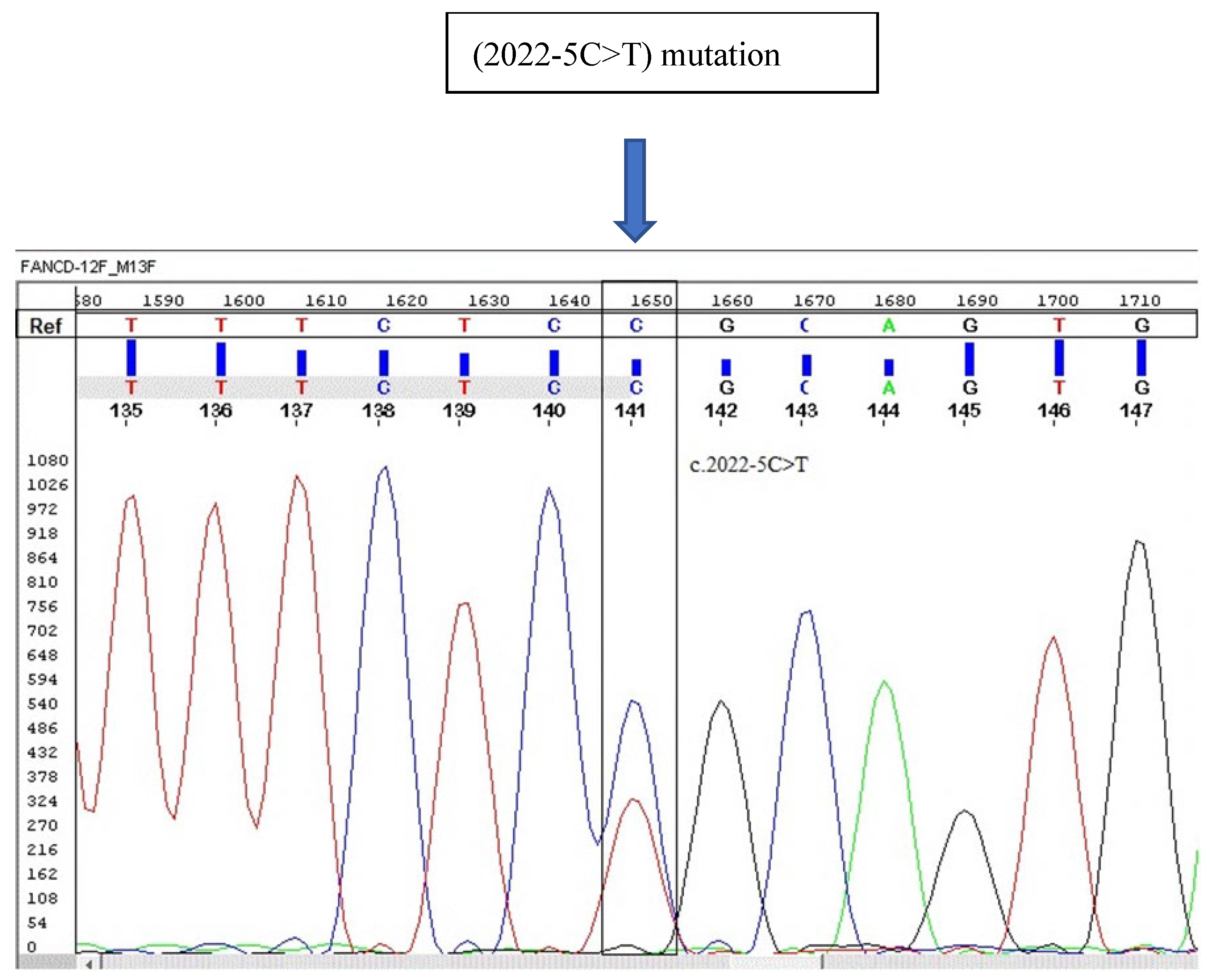 Hematolrep 16 00045 g002