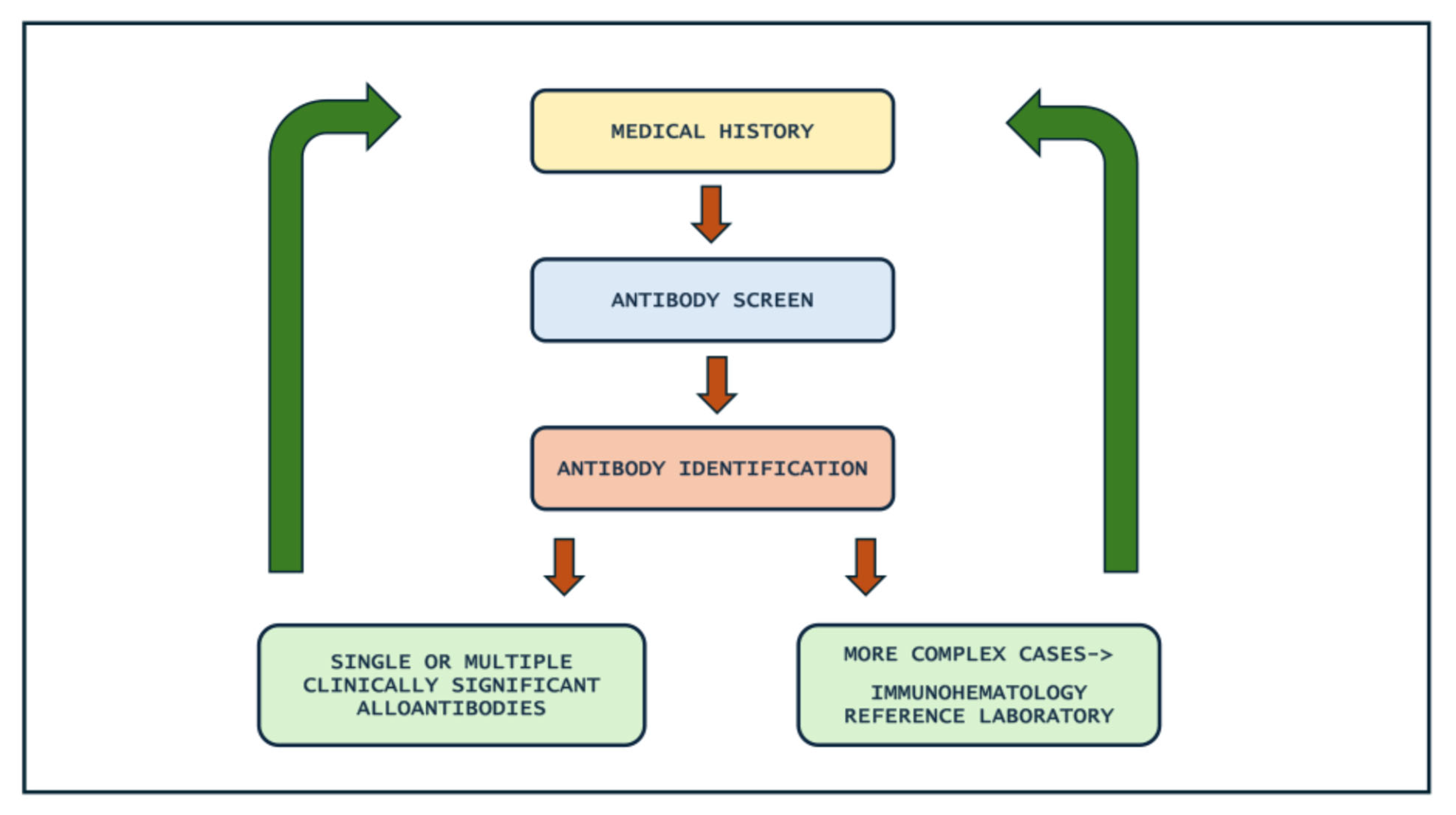 Hematolrep 16 00077 g002