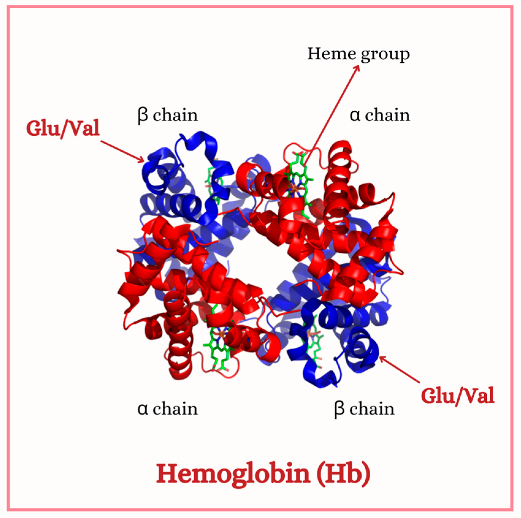 Hematolrep 17 00002 g001