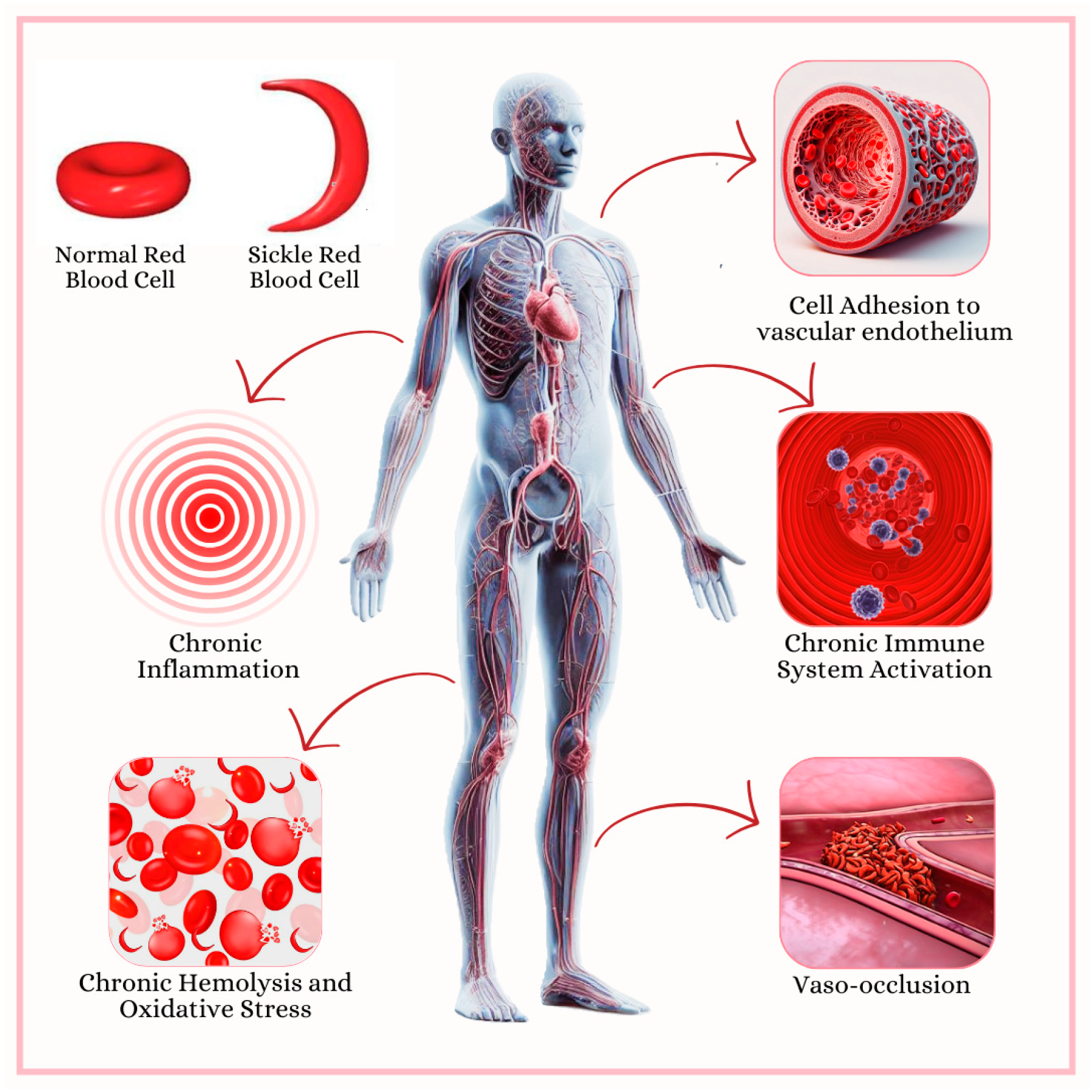 Hematolrep 17 00002 g003