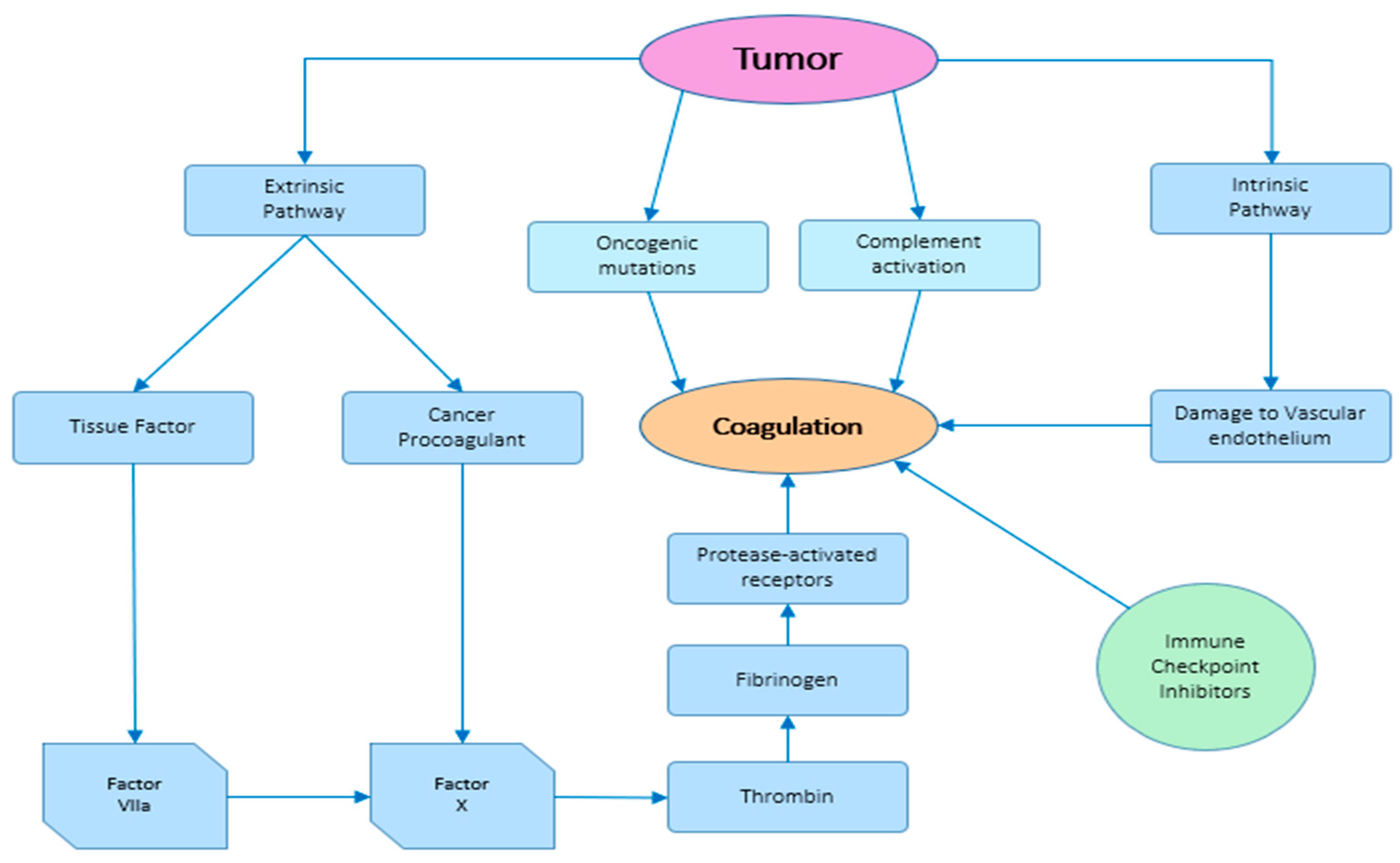 Hematolrep 17 00008 g001