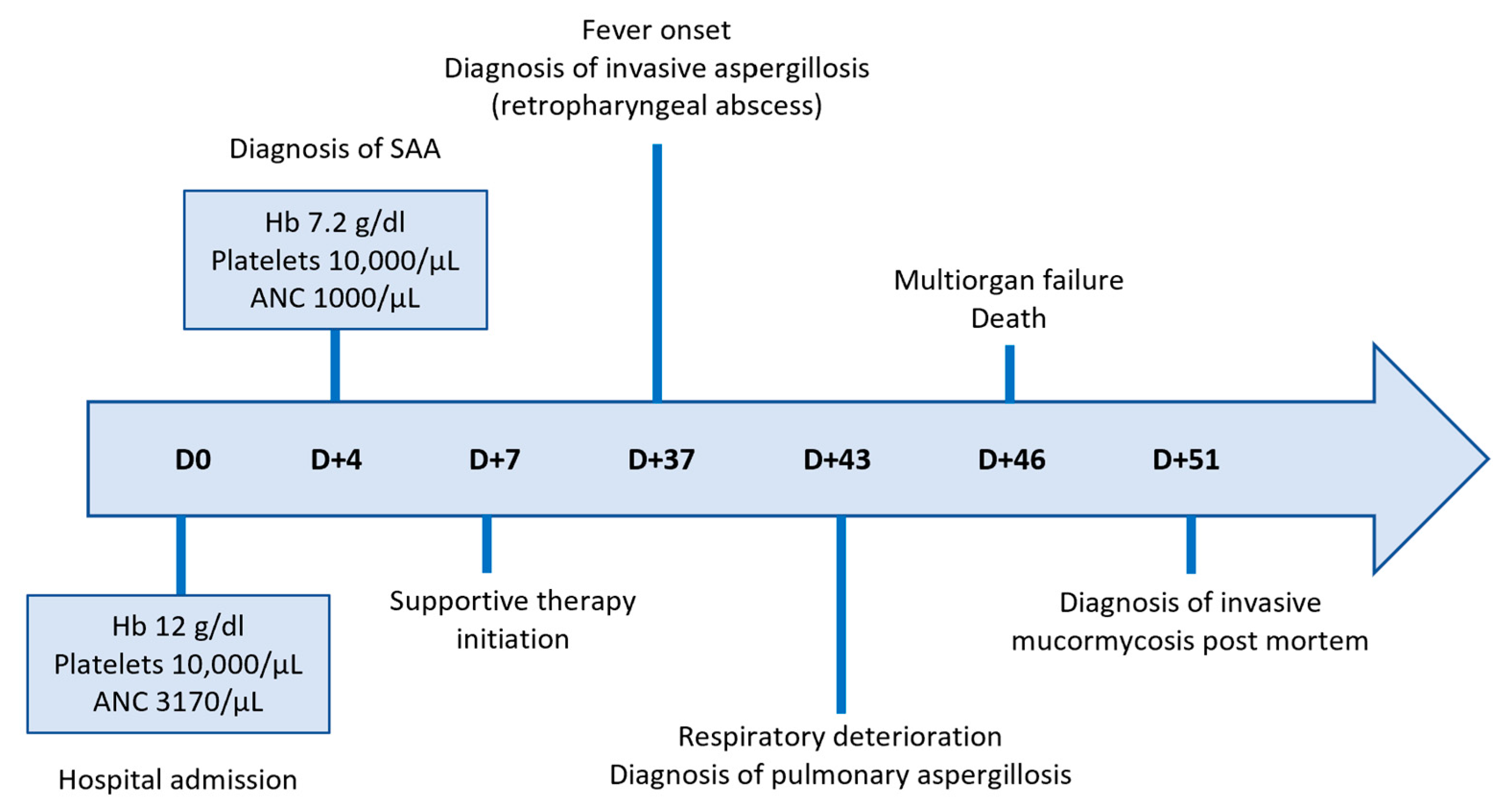 Hematolrep 17 00025 g002