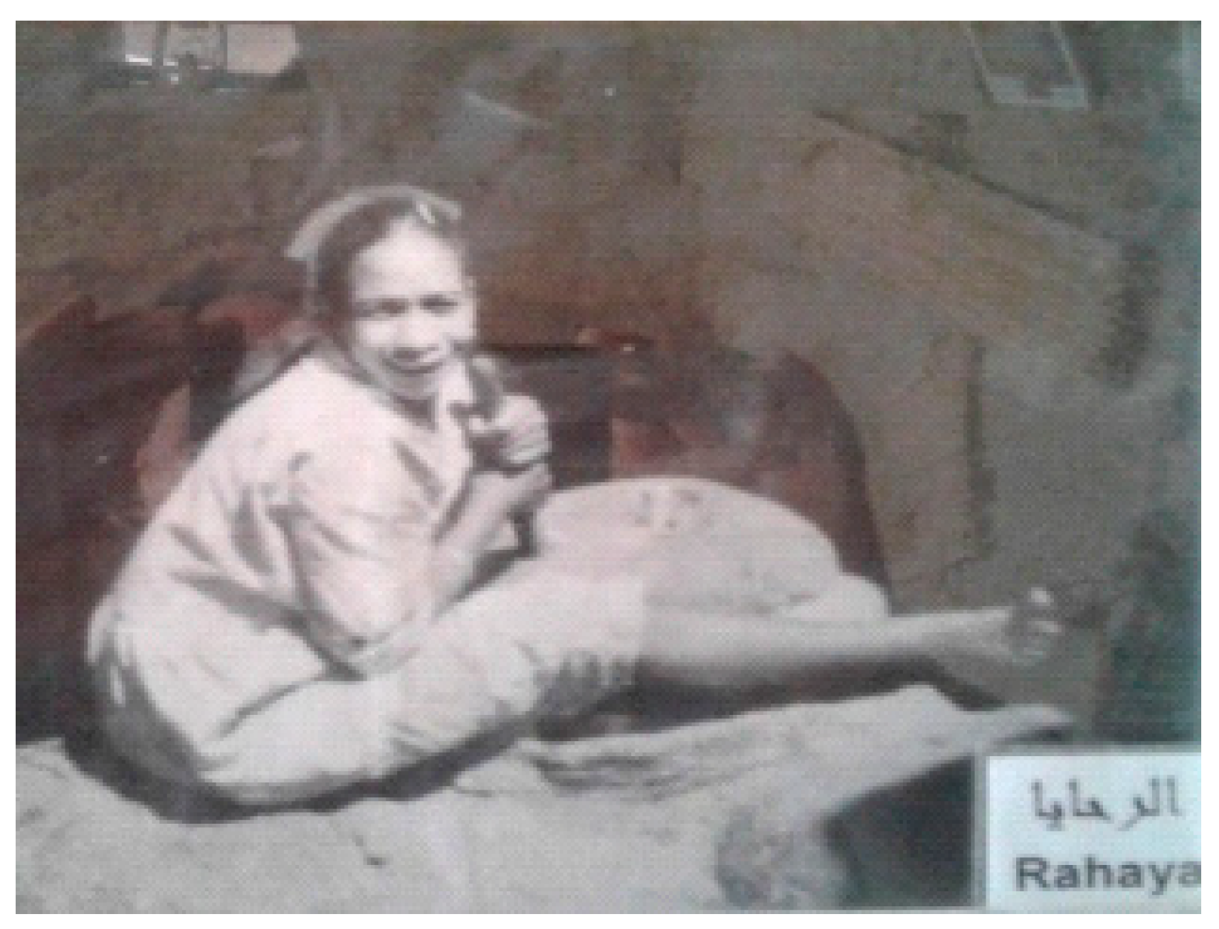 Heritage 01 00017 g003