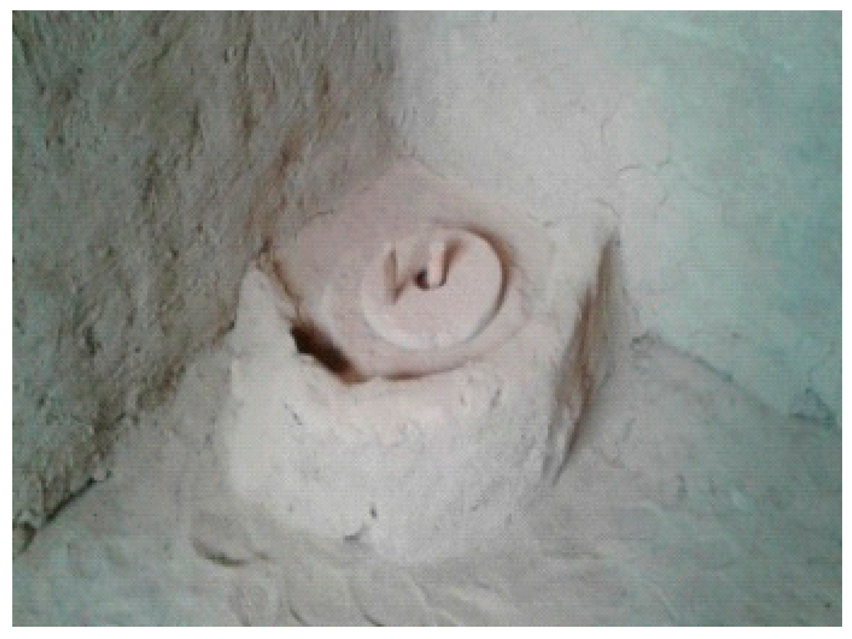 Heritage 01 00017 g004