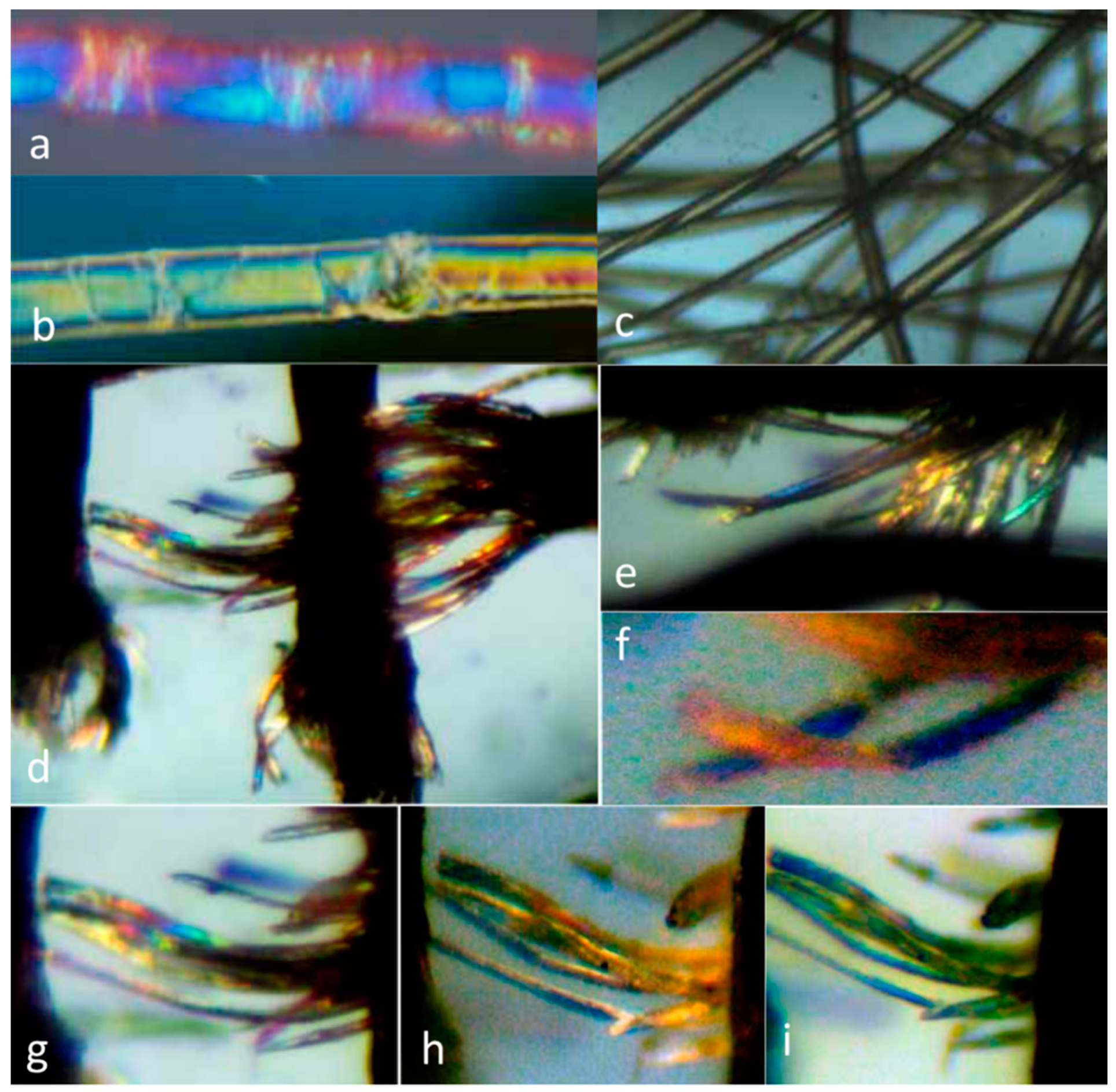 Heritage 01 00019 g005