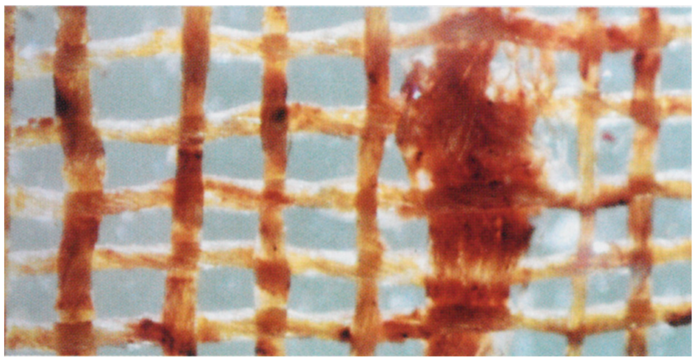 Heritage 01 00019 g007