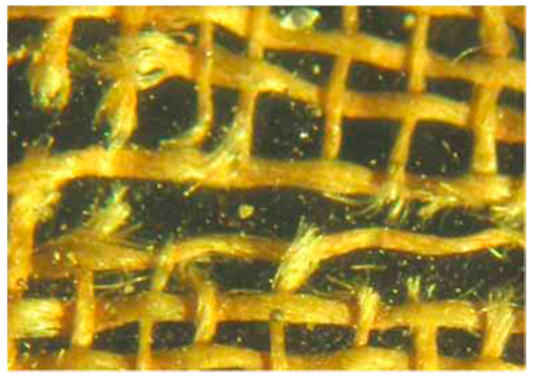 Heritage 01 00019 g008