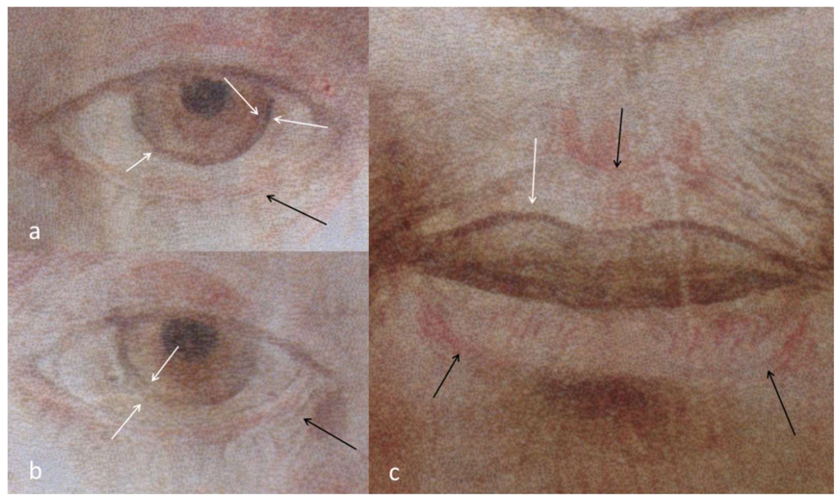 Heritage 01 00024 g010