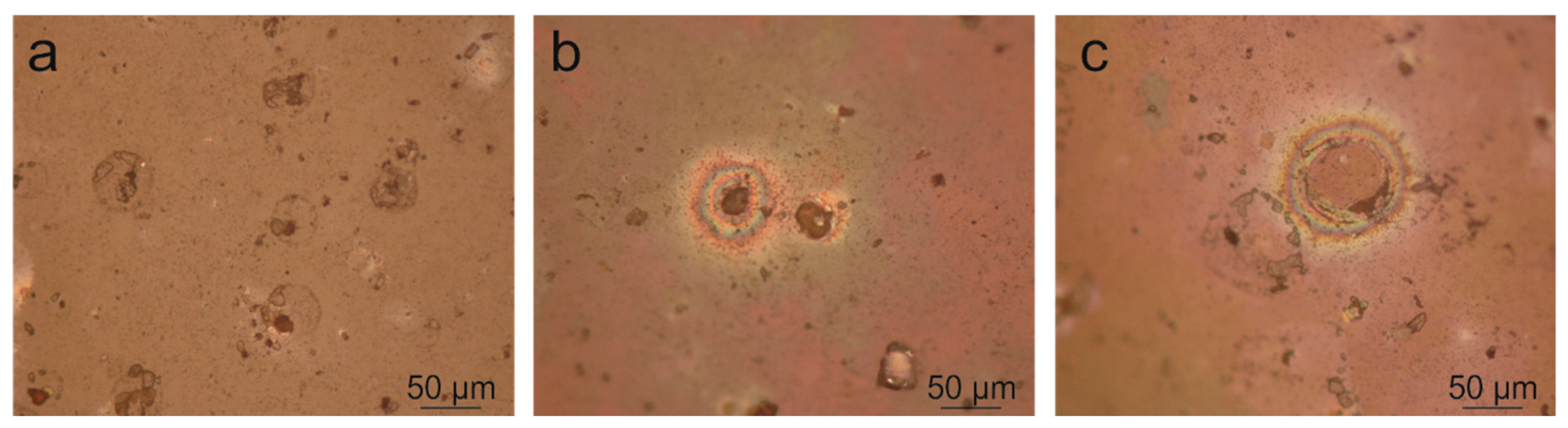 Heritage 01 00025 g003