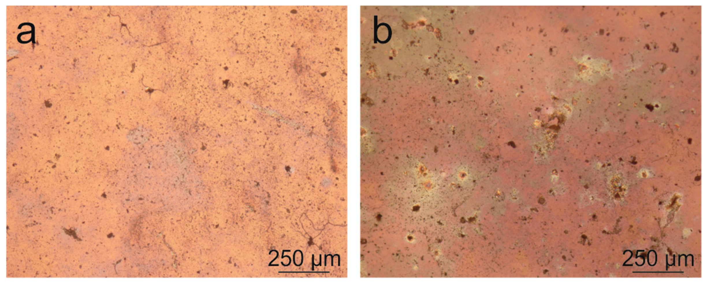 Heritage 01 00025 g004