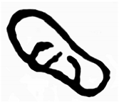 Heritage 02 00004 i003