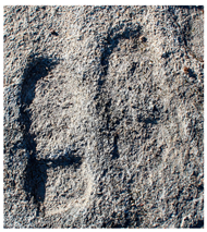 Heritage 02 00004 i004