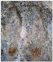 Heritage 02 00004 i005