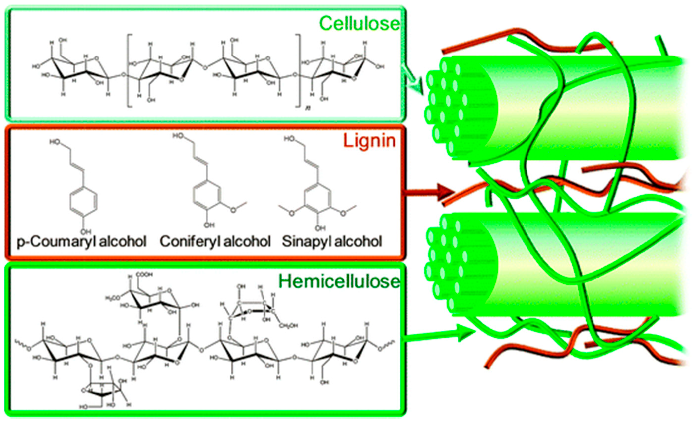 Heritage 02 00009 g002