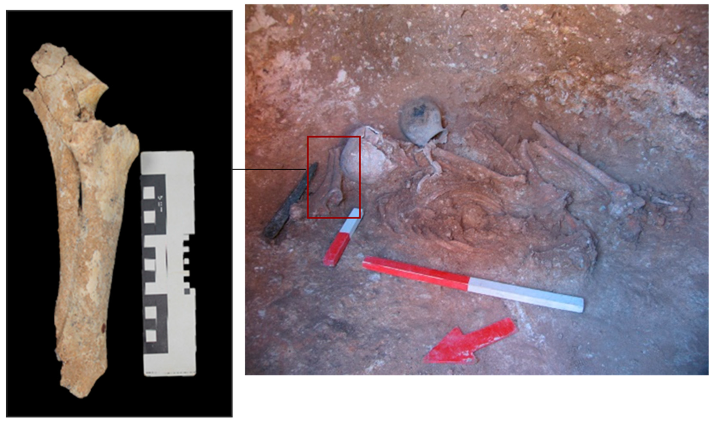 Heritage 02 00016 g007