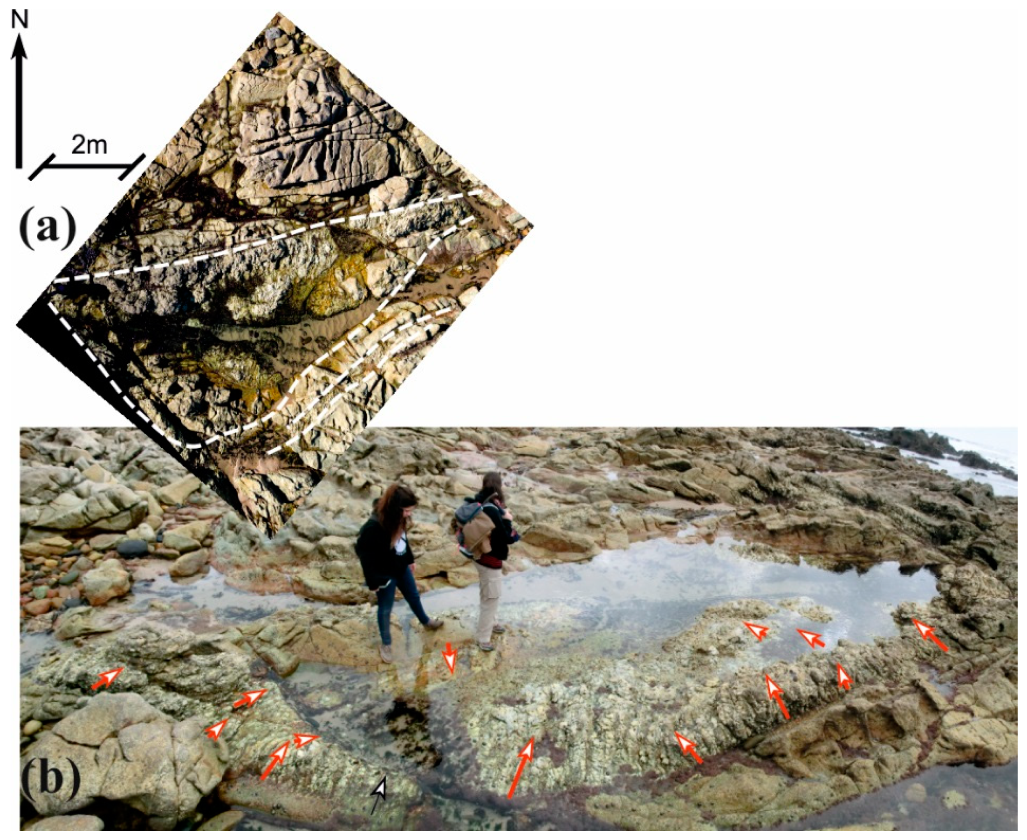 Heritage 02 00021 g014